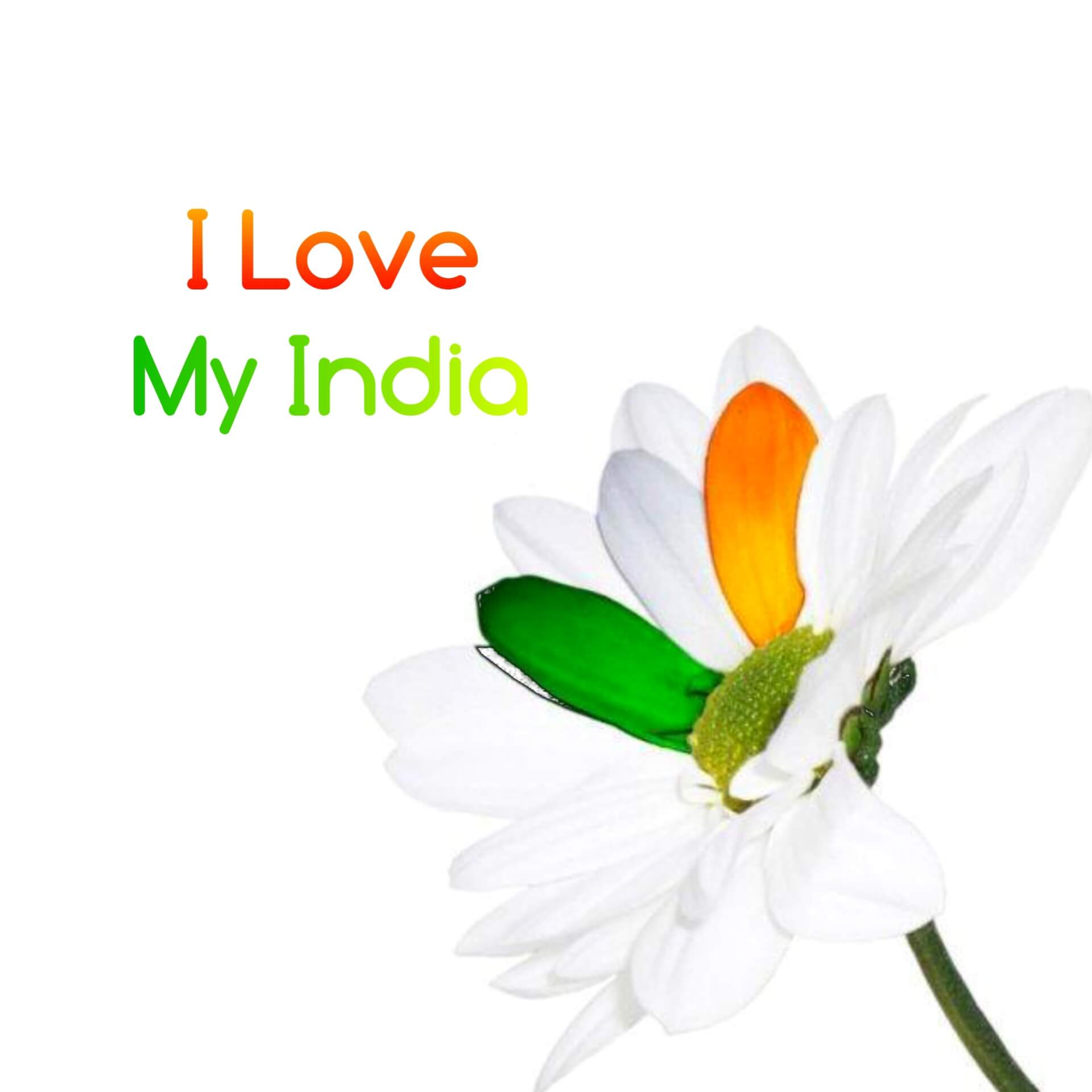 I Love my India Flower Republic Day Images