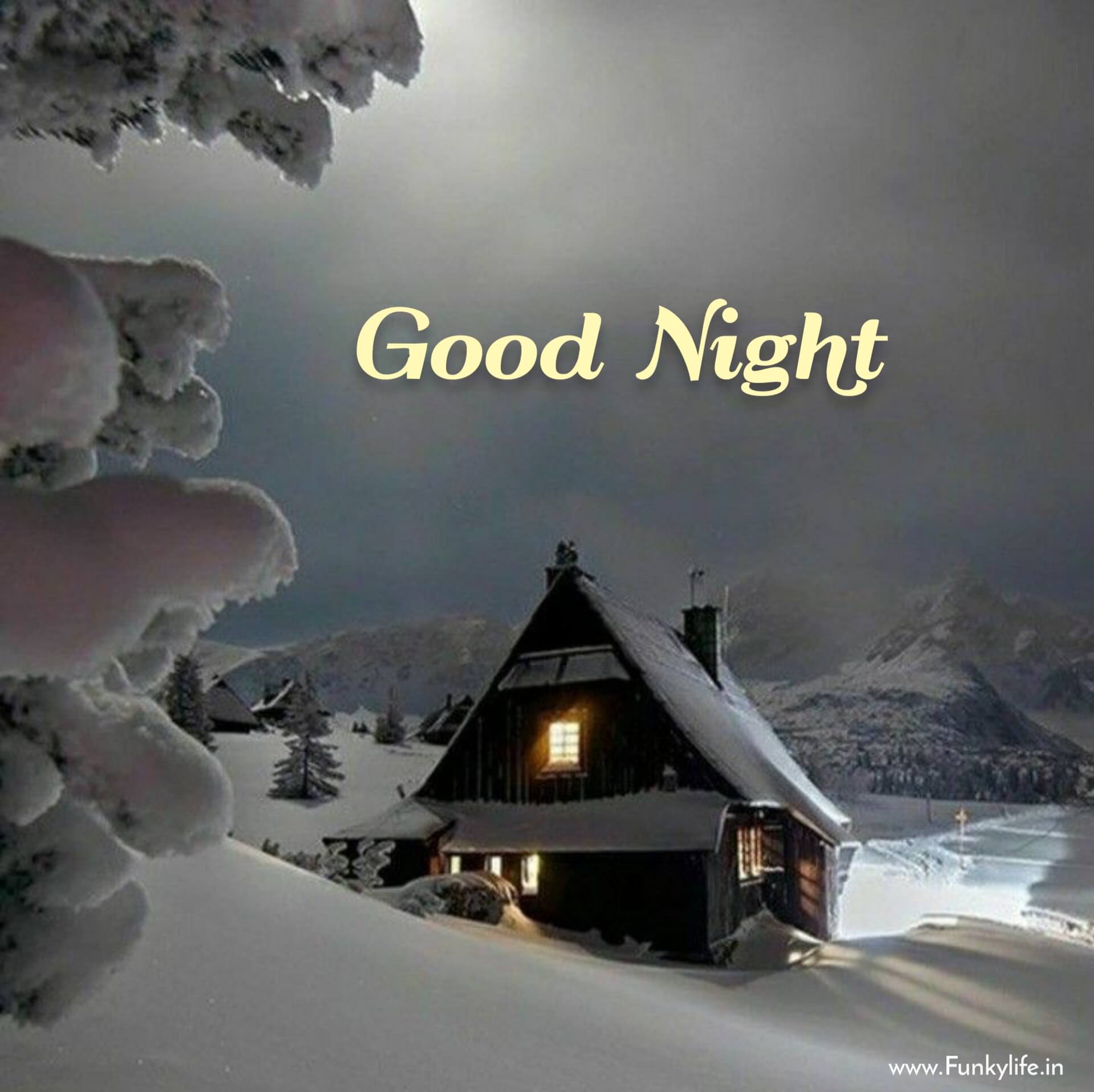 Good Night Nature