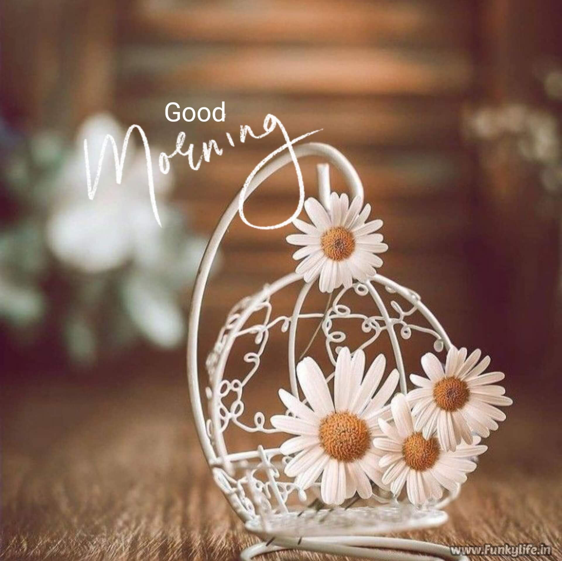 Good Morning Images Wishes Quotes Greetings Text WhatsApp Status N  Messages