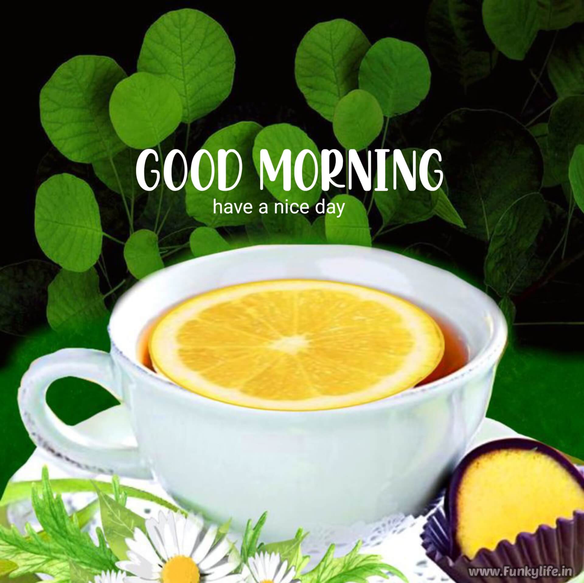 Lemon tea Good Morning Image
