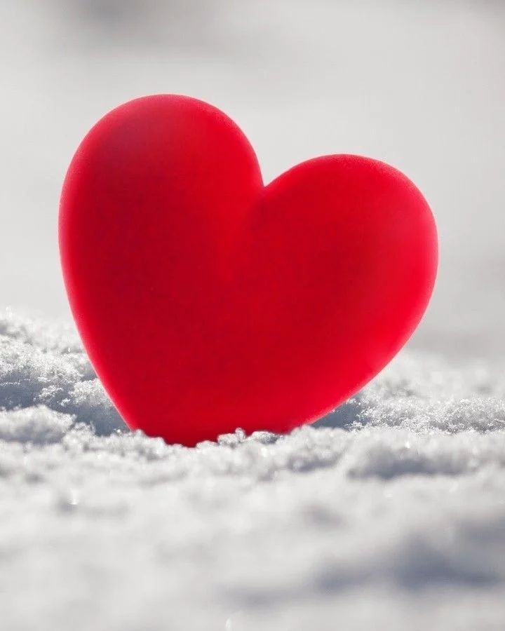Love Heart Instagram profile picture