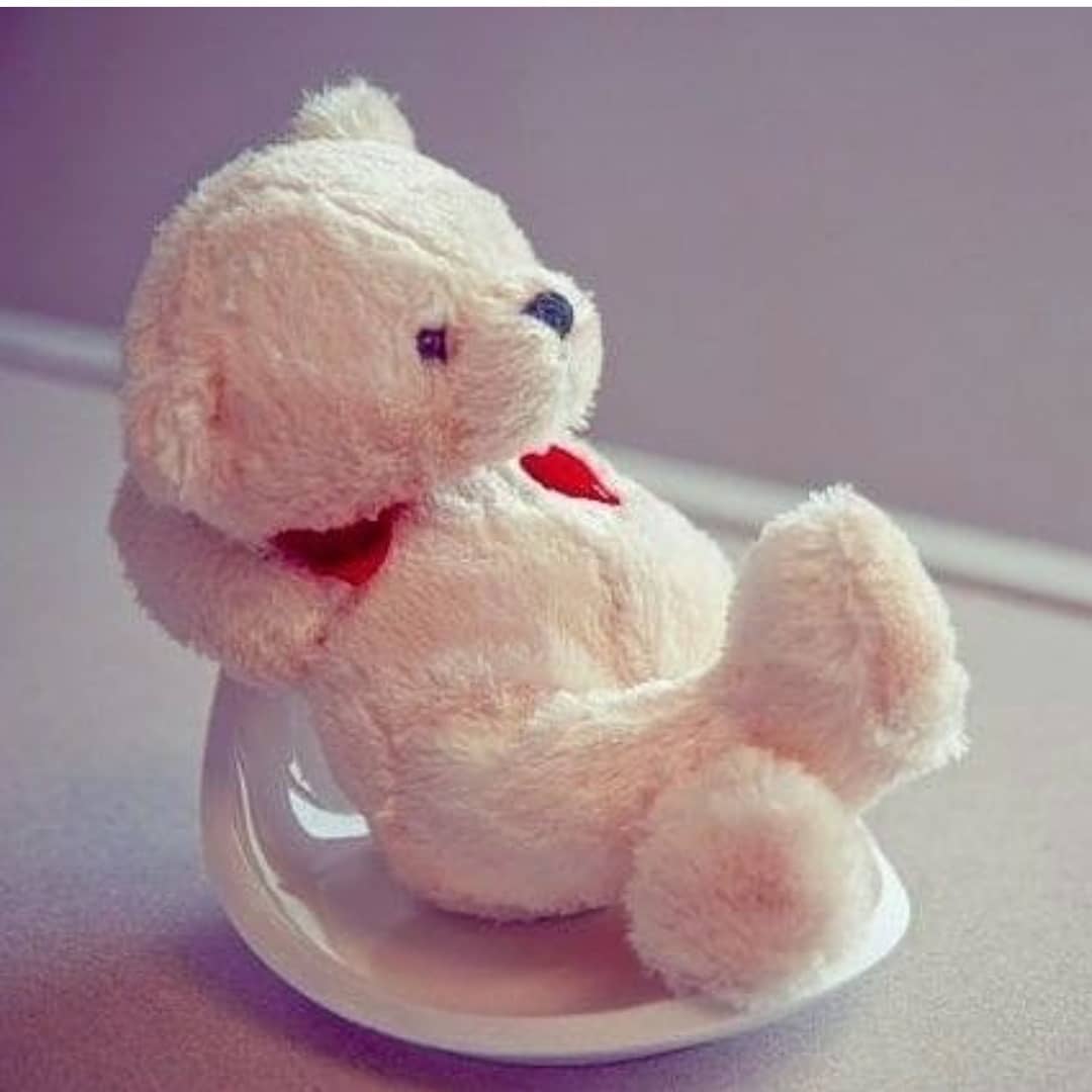 Cute teddy Instagram profile picture