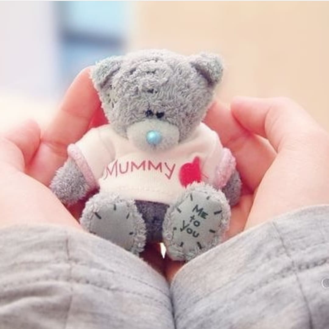 Cute teddy Instagram dp