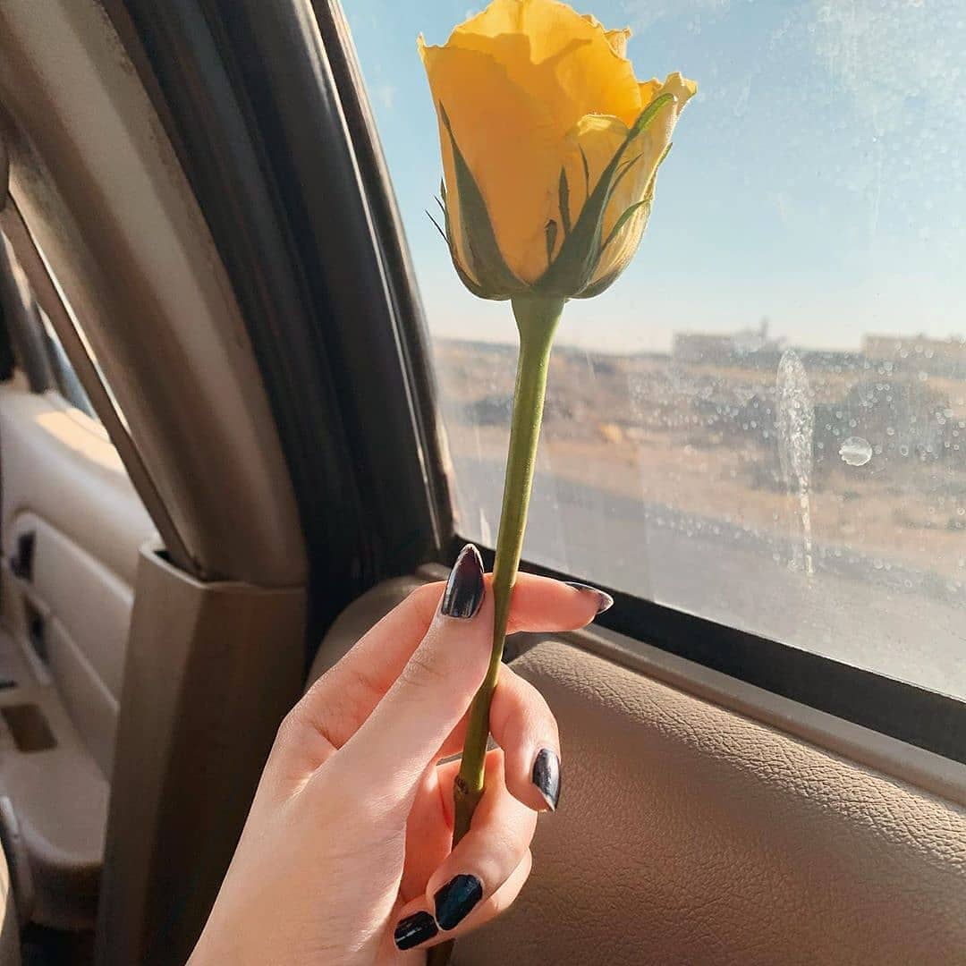Flower Dp for Instagram