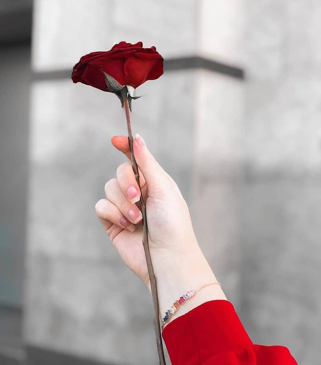 Flower in Hand Instagram dp