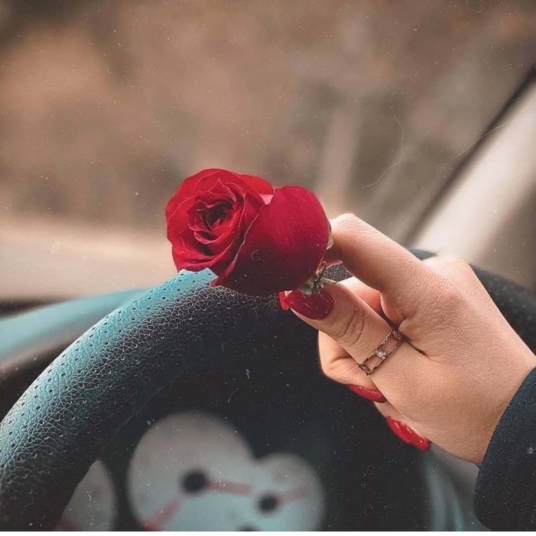 Rose flower Instagram profile picture