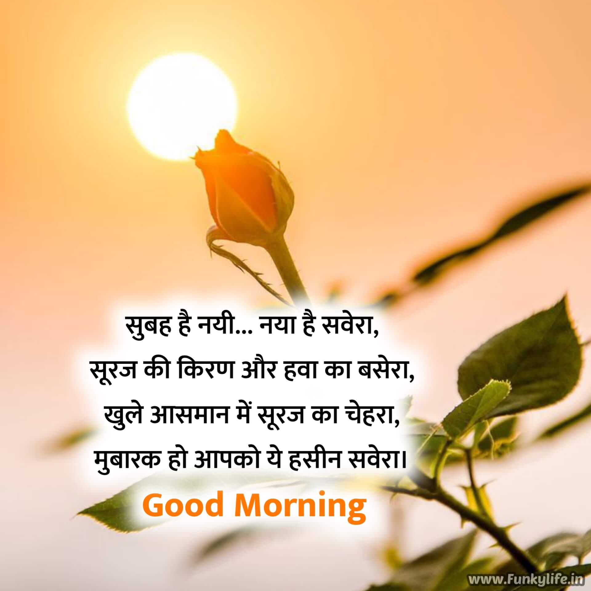 60 Beautiful Good Morning Shayari In Hindi गुड मॉर्निंग शायरी 2023 8389