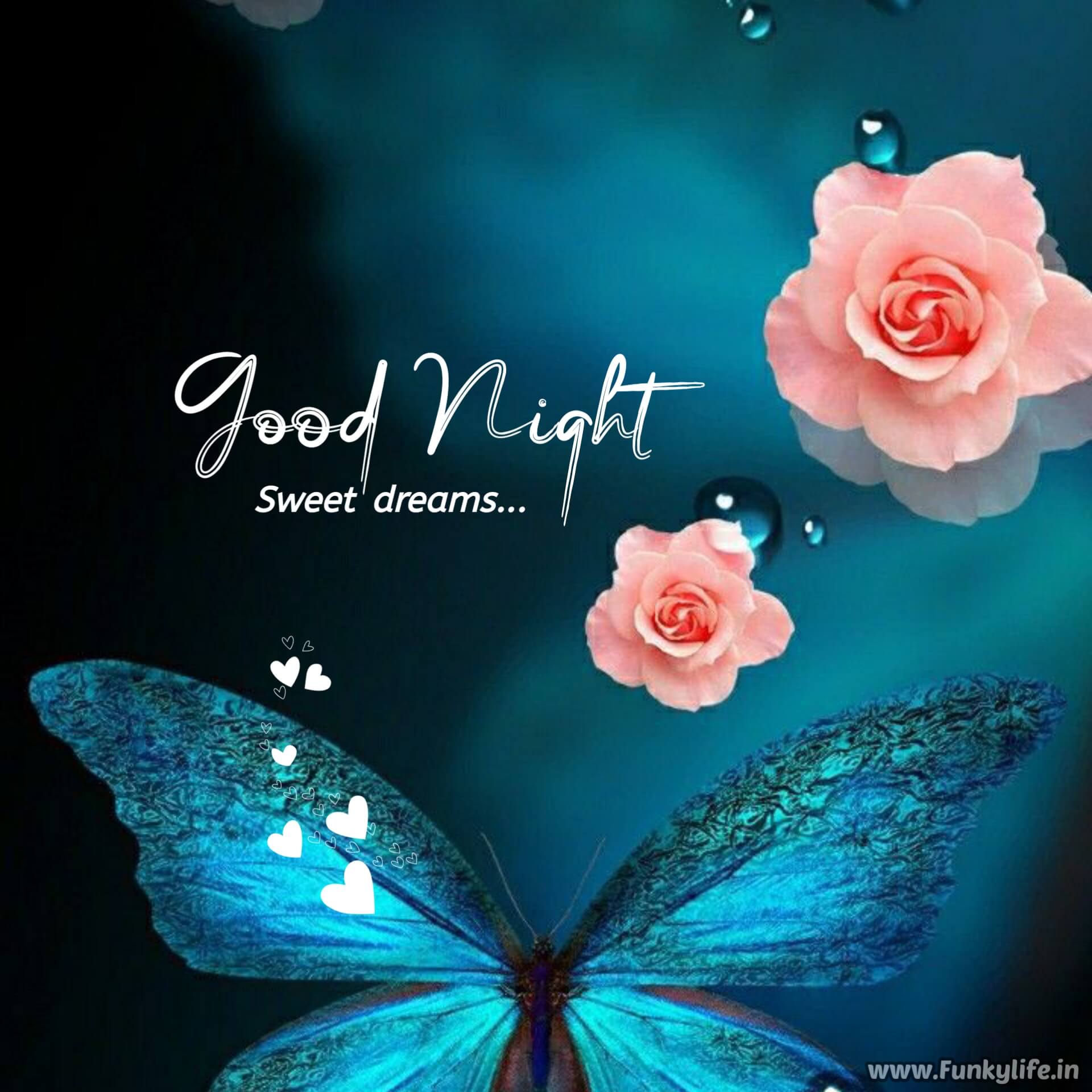 Butterfly Good Night Image
