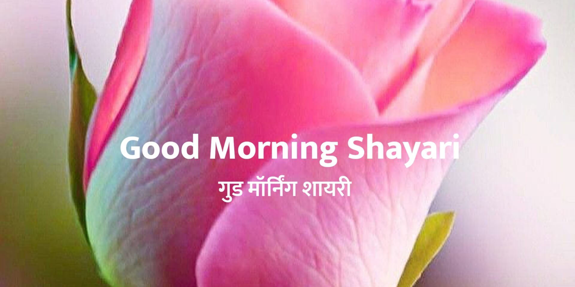 60+ Beautiful Good Morning Shayari in Hindi - गुड मॉर्निंग शायरी 2023