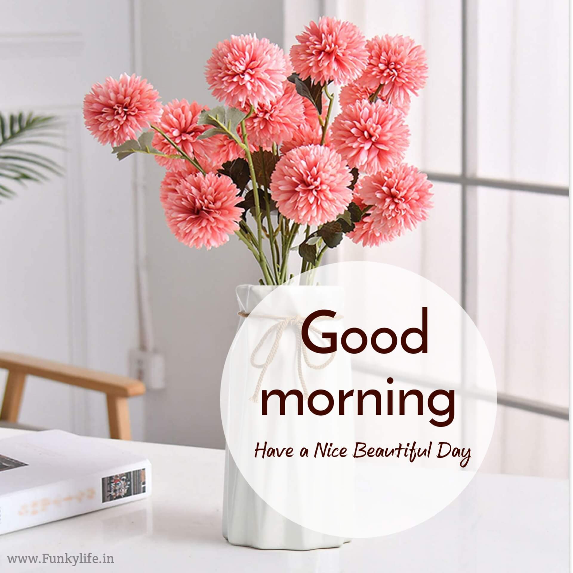 Flowers Pot Good Morning Images