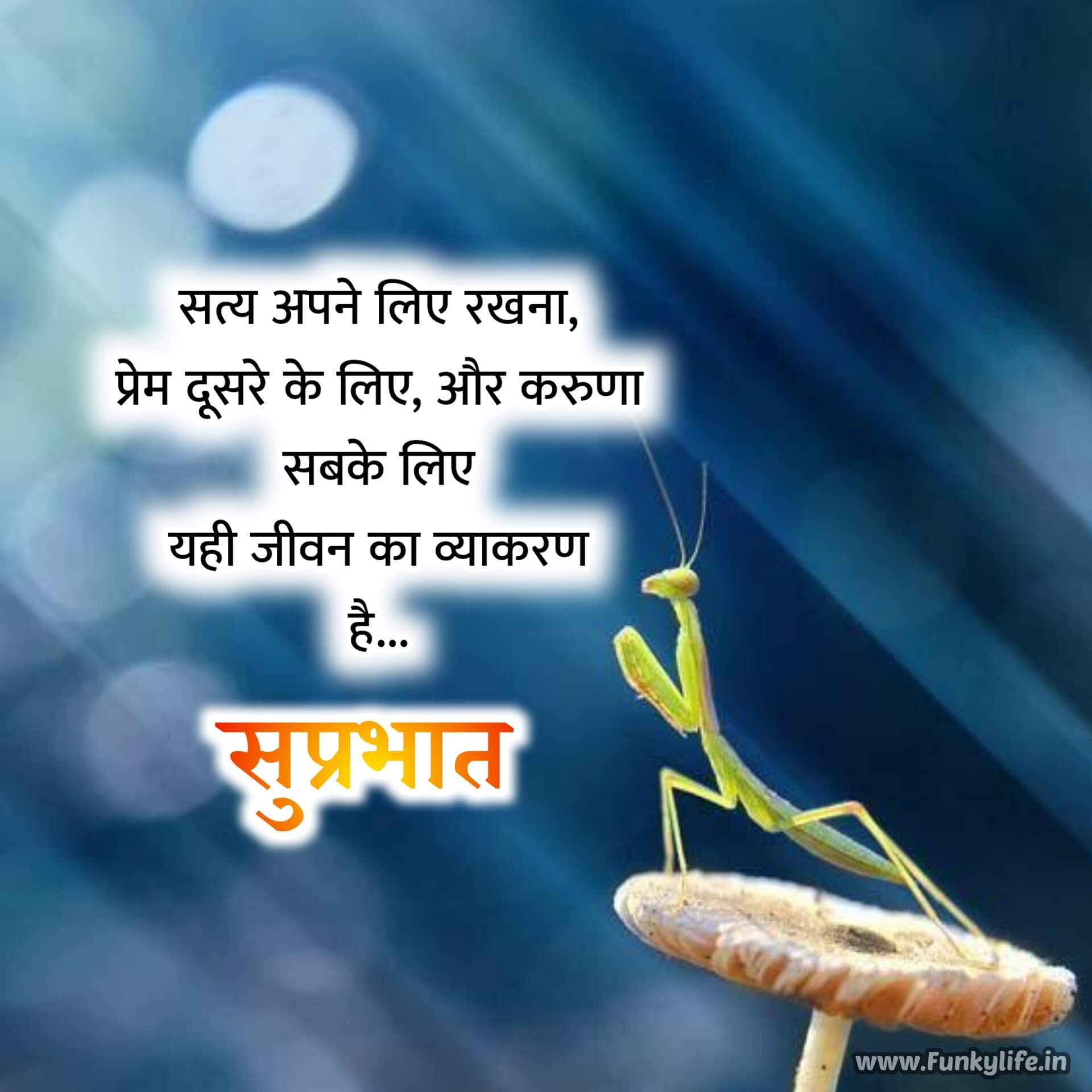 Beautiful Good Morning Quotes in Hindi