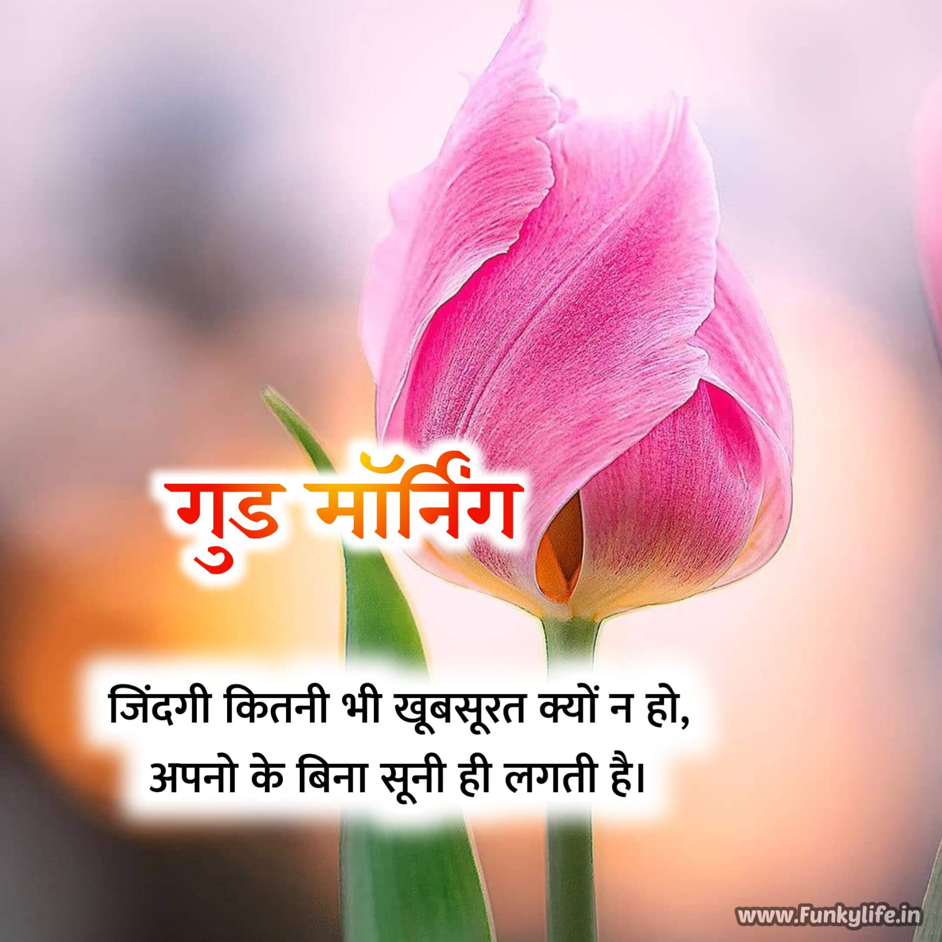 Good Morning Quotes in Hindi for Family