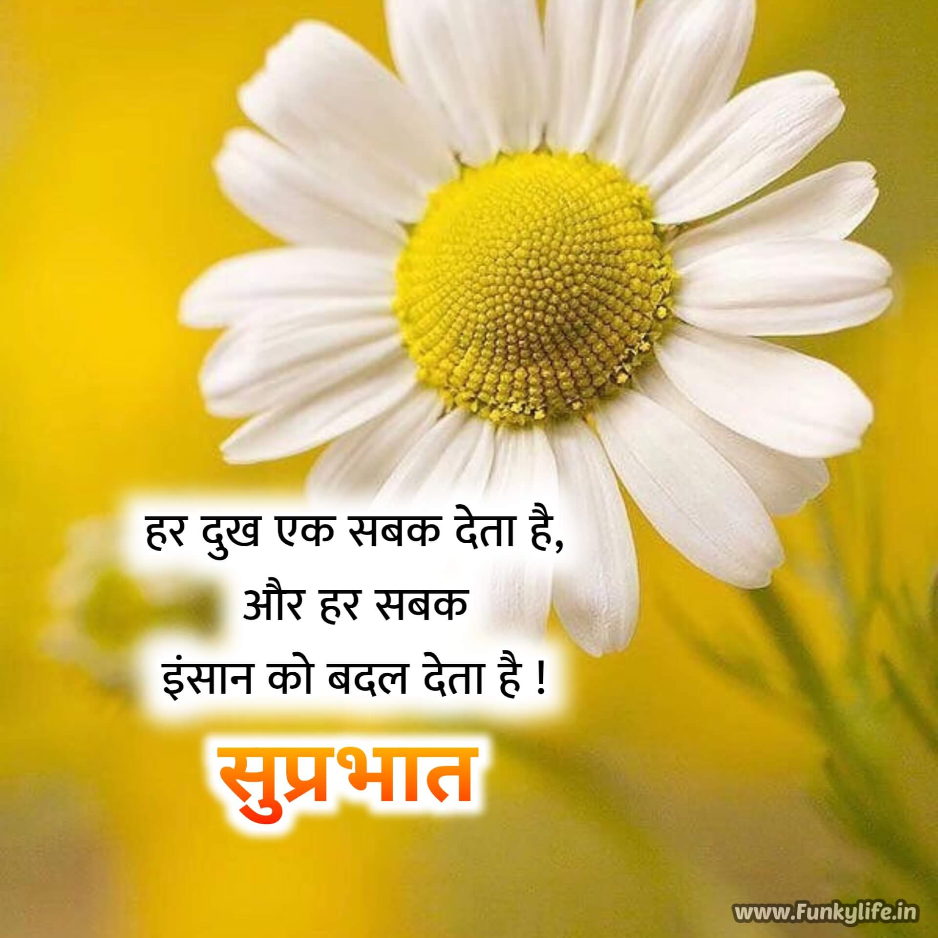 True Words Good Morning Quotes in Hindi