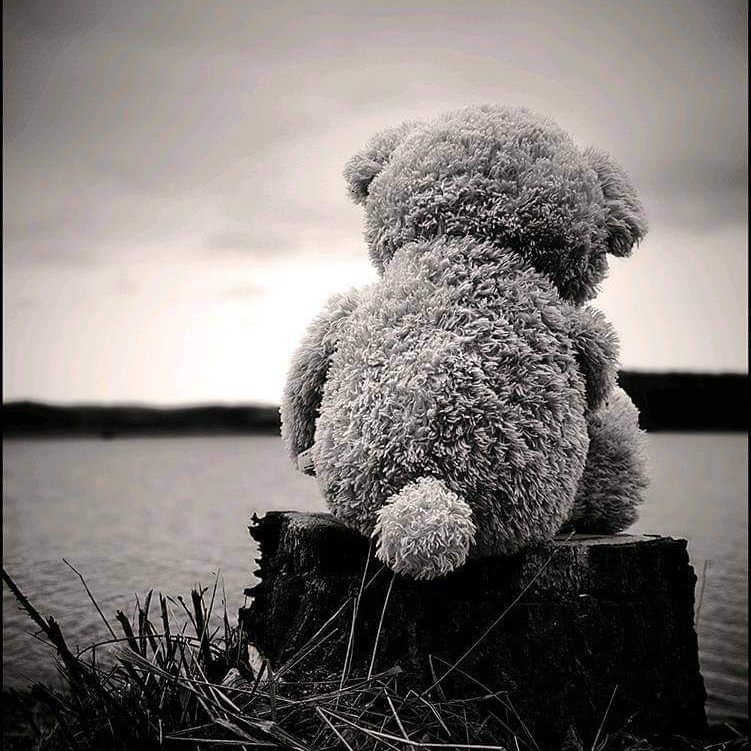 Teddy Bear Sad DP