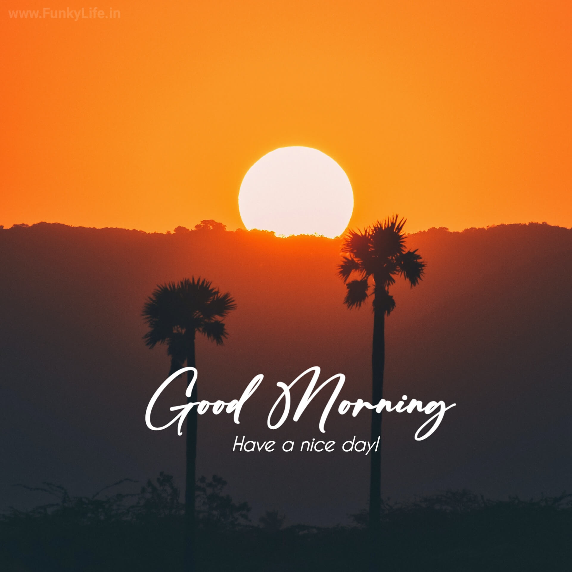 Sunrise Good Morning Image