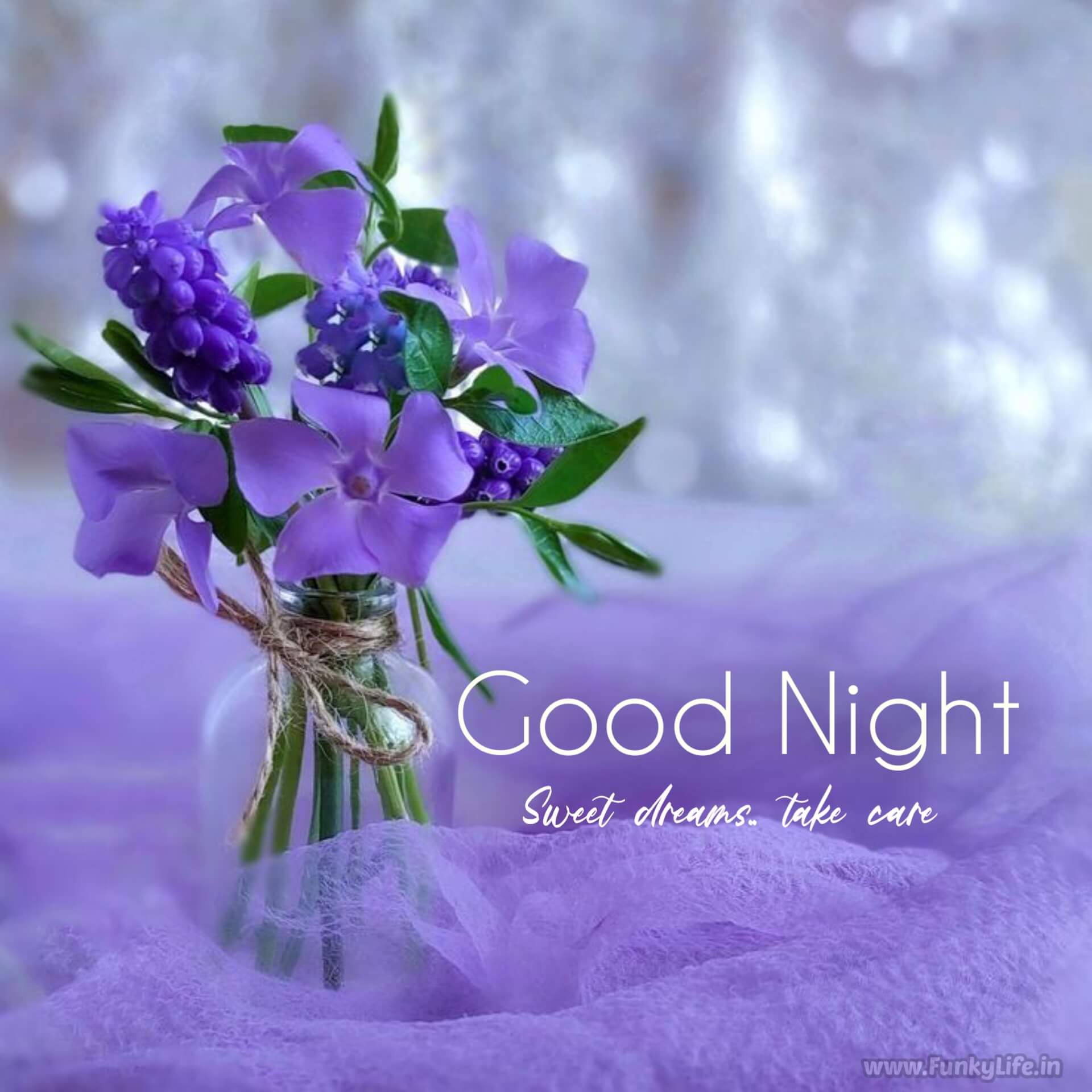 Beautiful Good Night Image