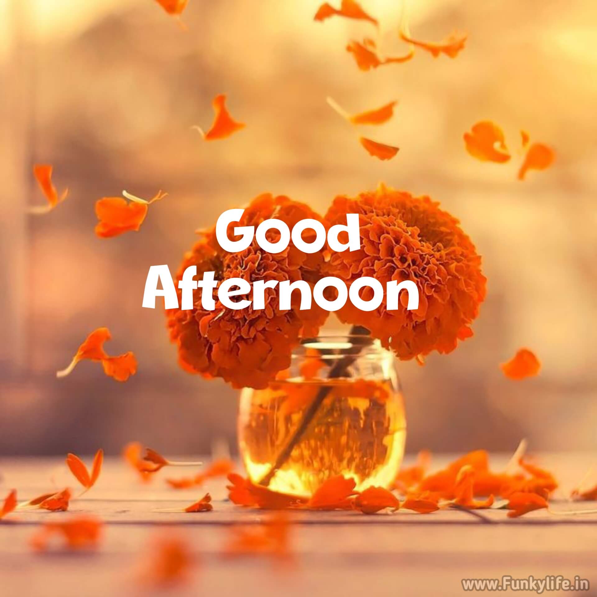 Good Afternoon Friends Wallpaper