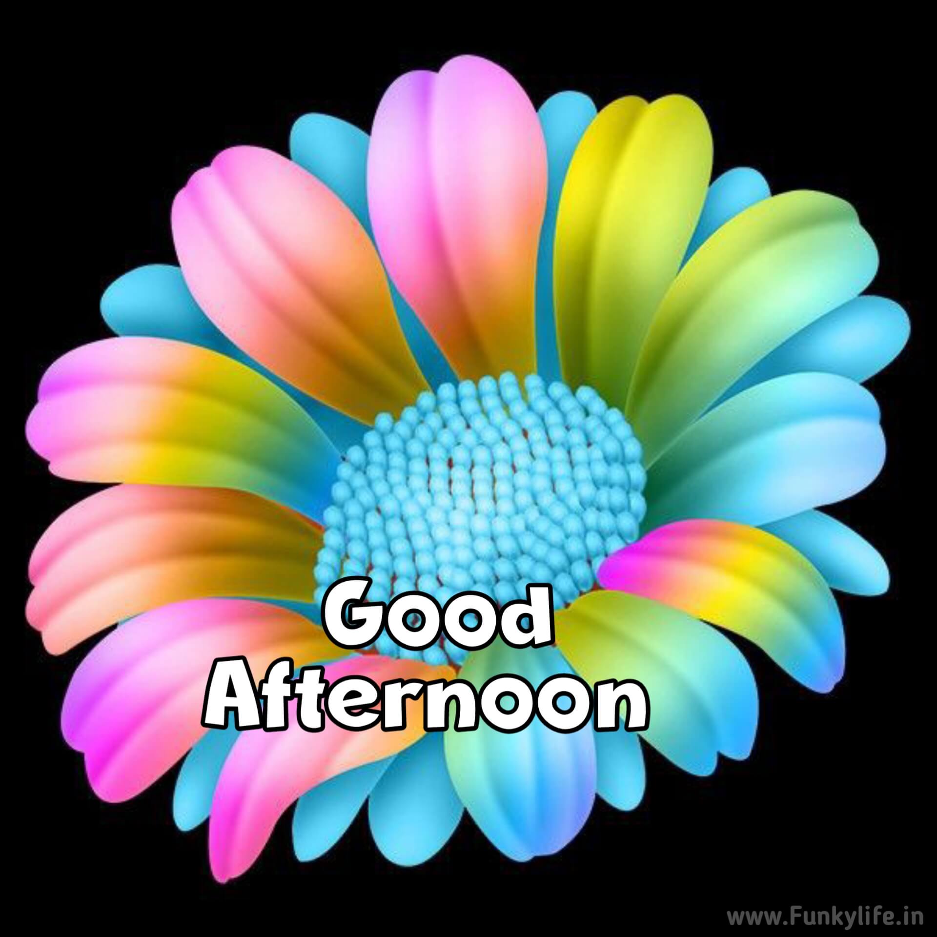 Animated Good Afternoon Image