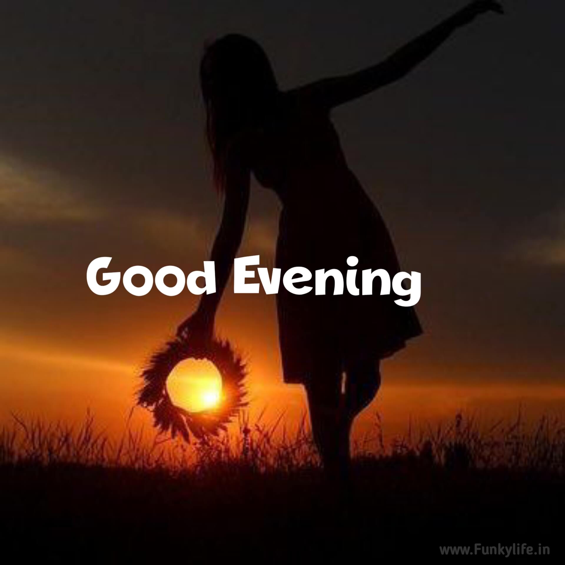 Beautiful Good Evening Image