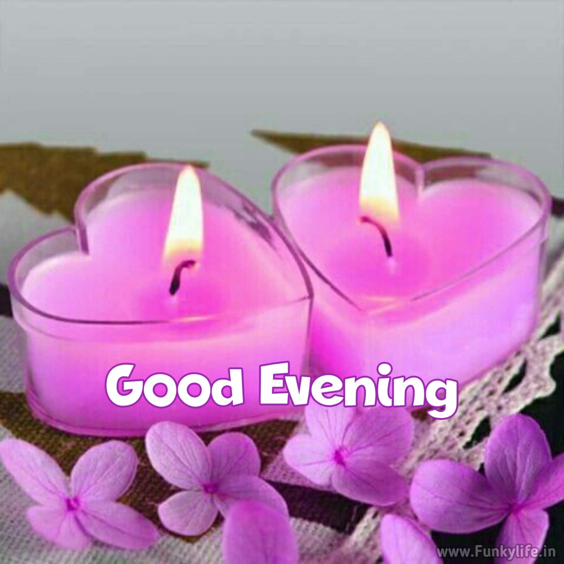 Love Good Evening Image