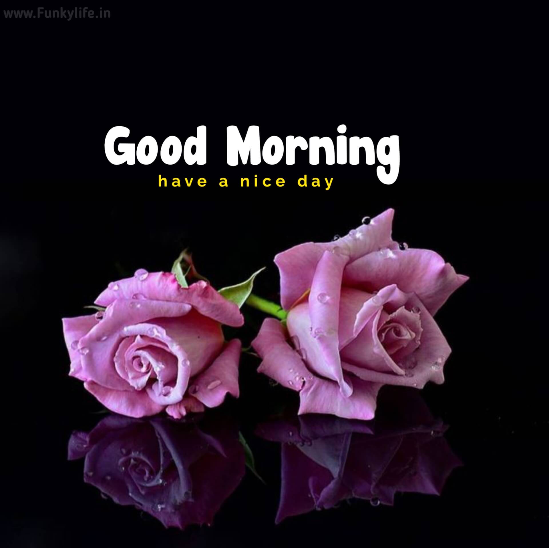 Good Morning Flower Images