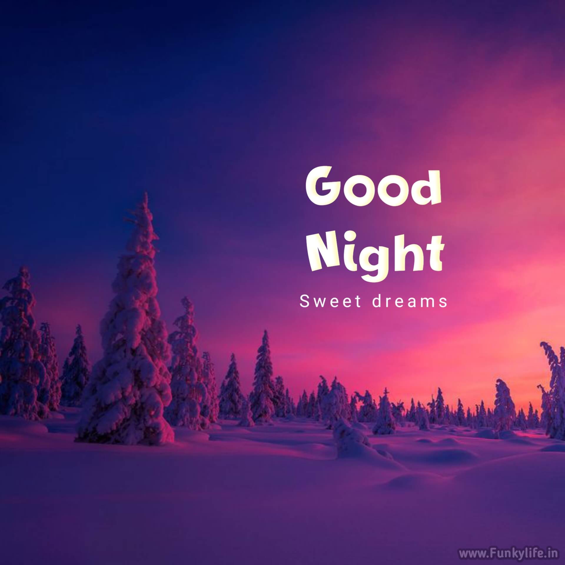 good-night-image-by-funkylife-305-1