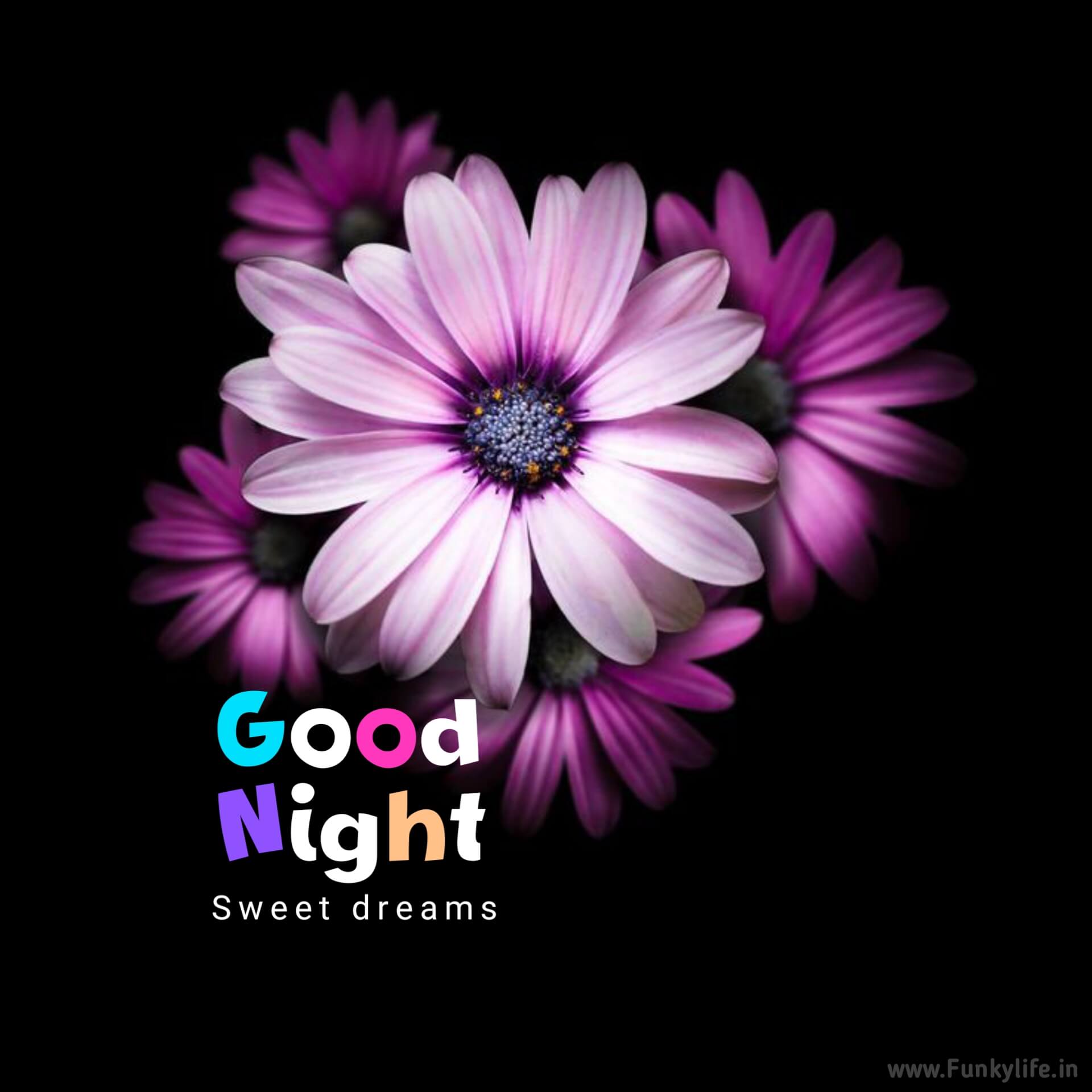 good-night-image-by-funkylife-306-1