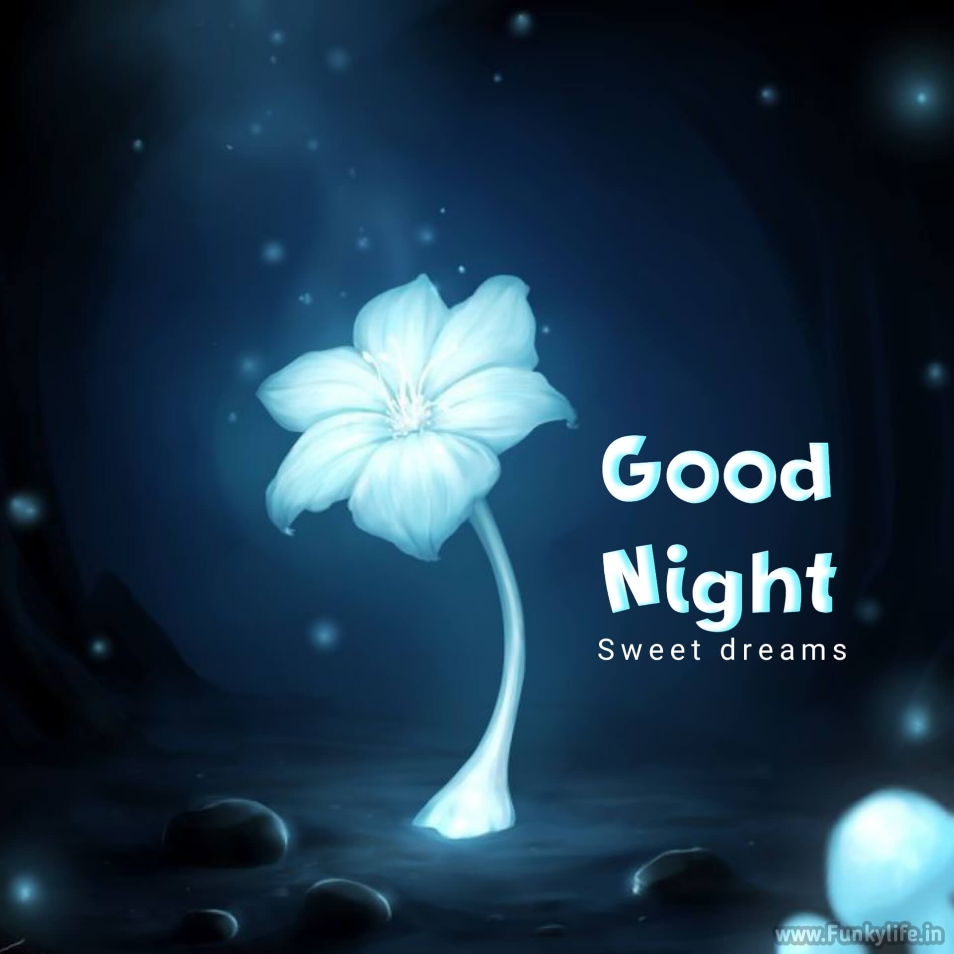 good-night-image-by-funkylife-307-1