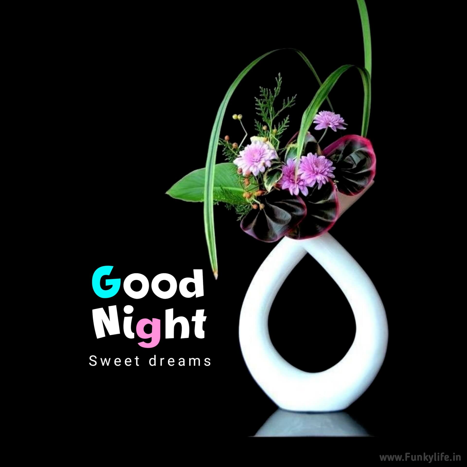 Flower pot Good Night Image