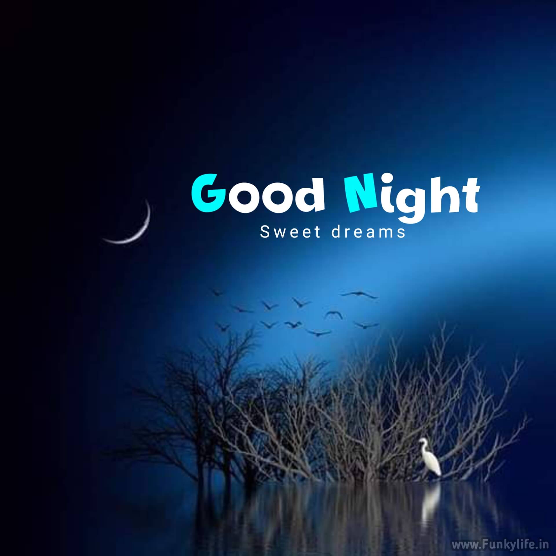 Good Night Photos New