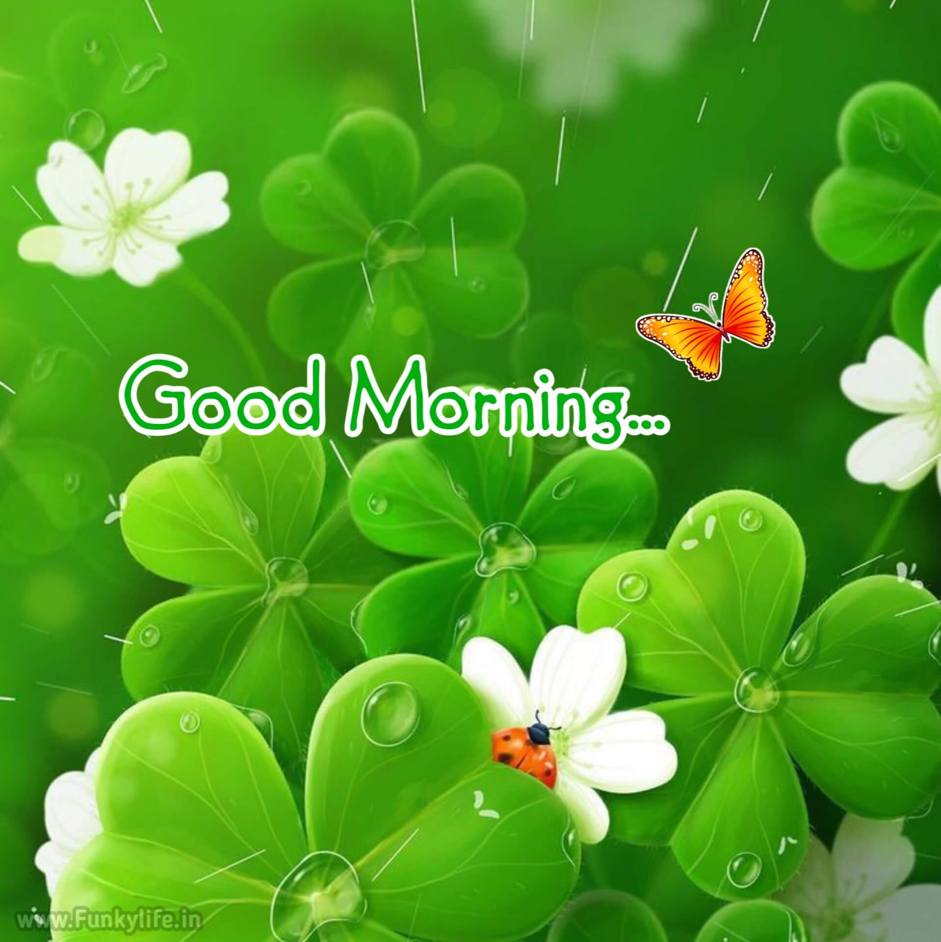 Green Good Morning Images