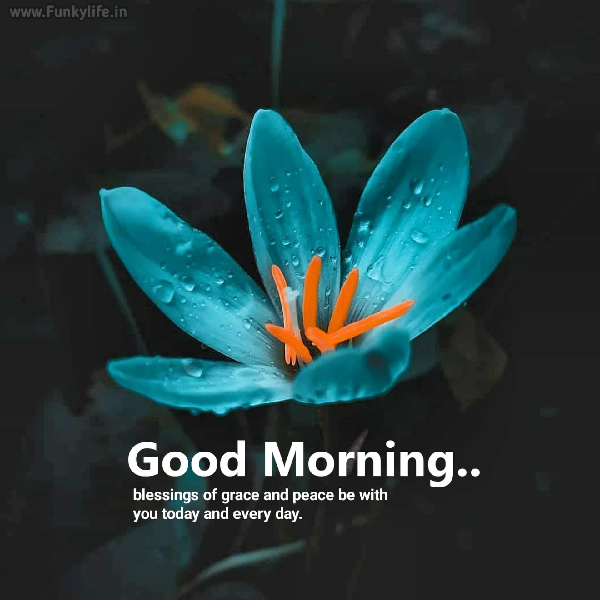 goodmorning wallpaper with quotes