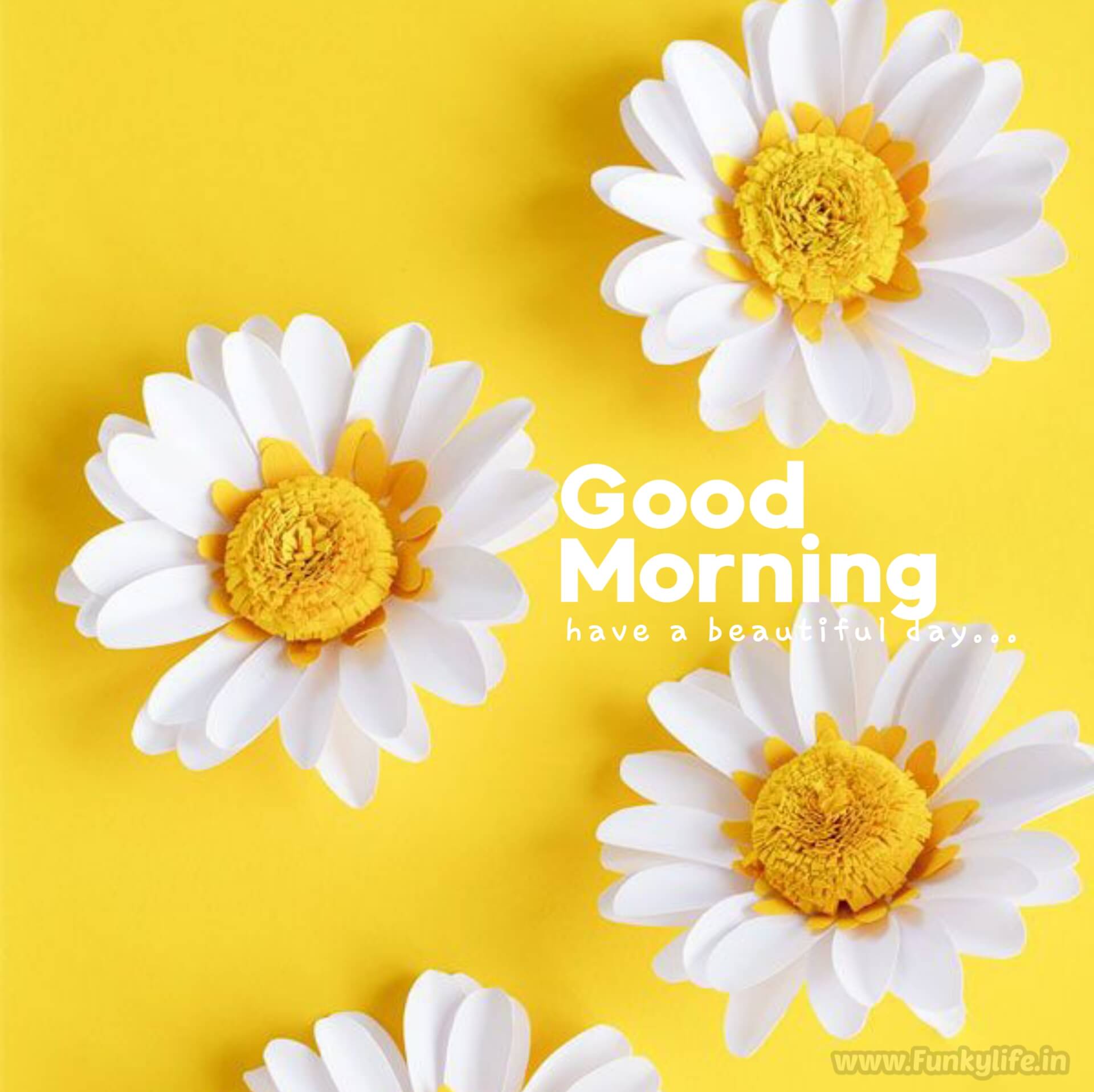 Yellow Good Morning Images