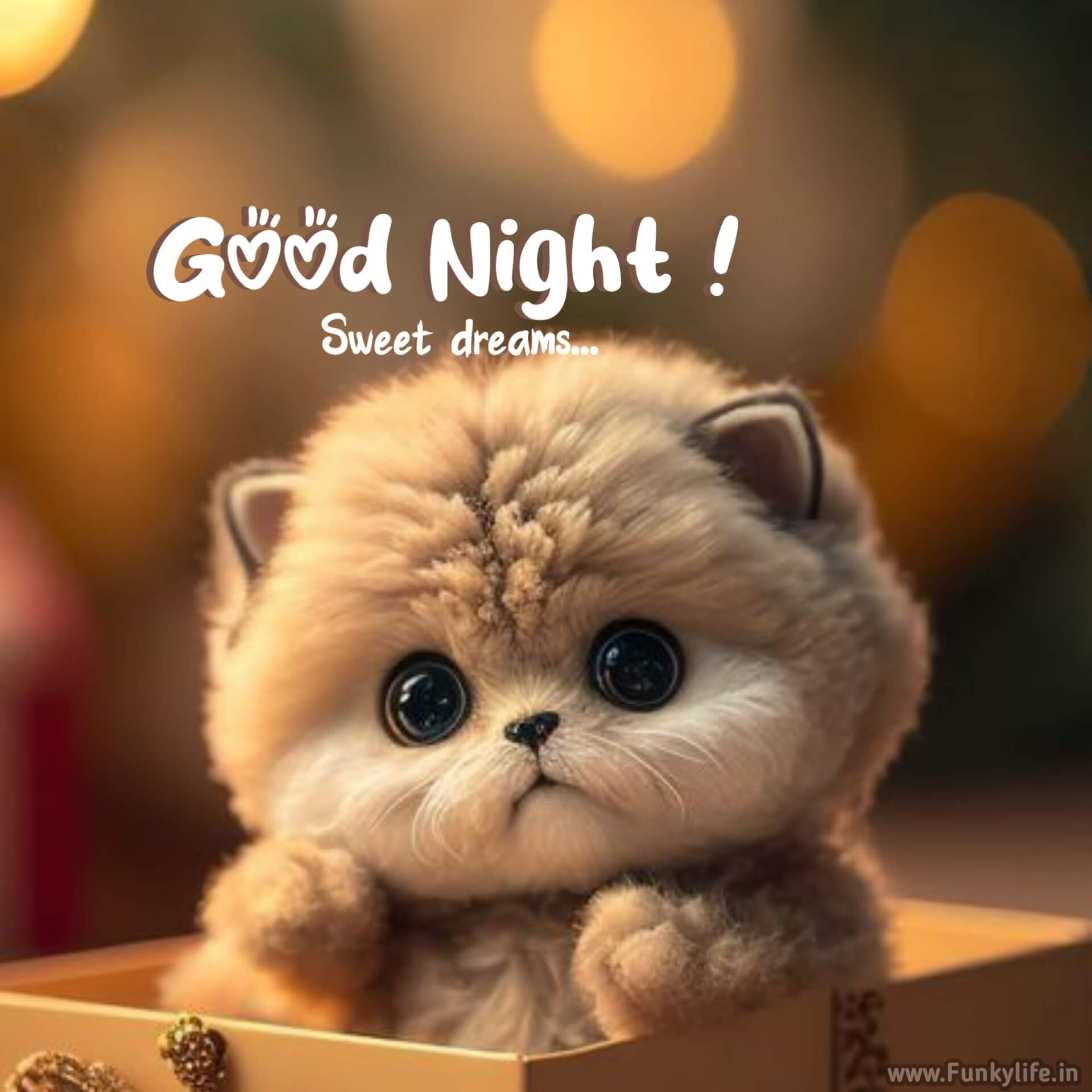 Cute Good night image