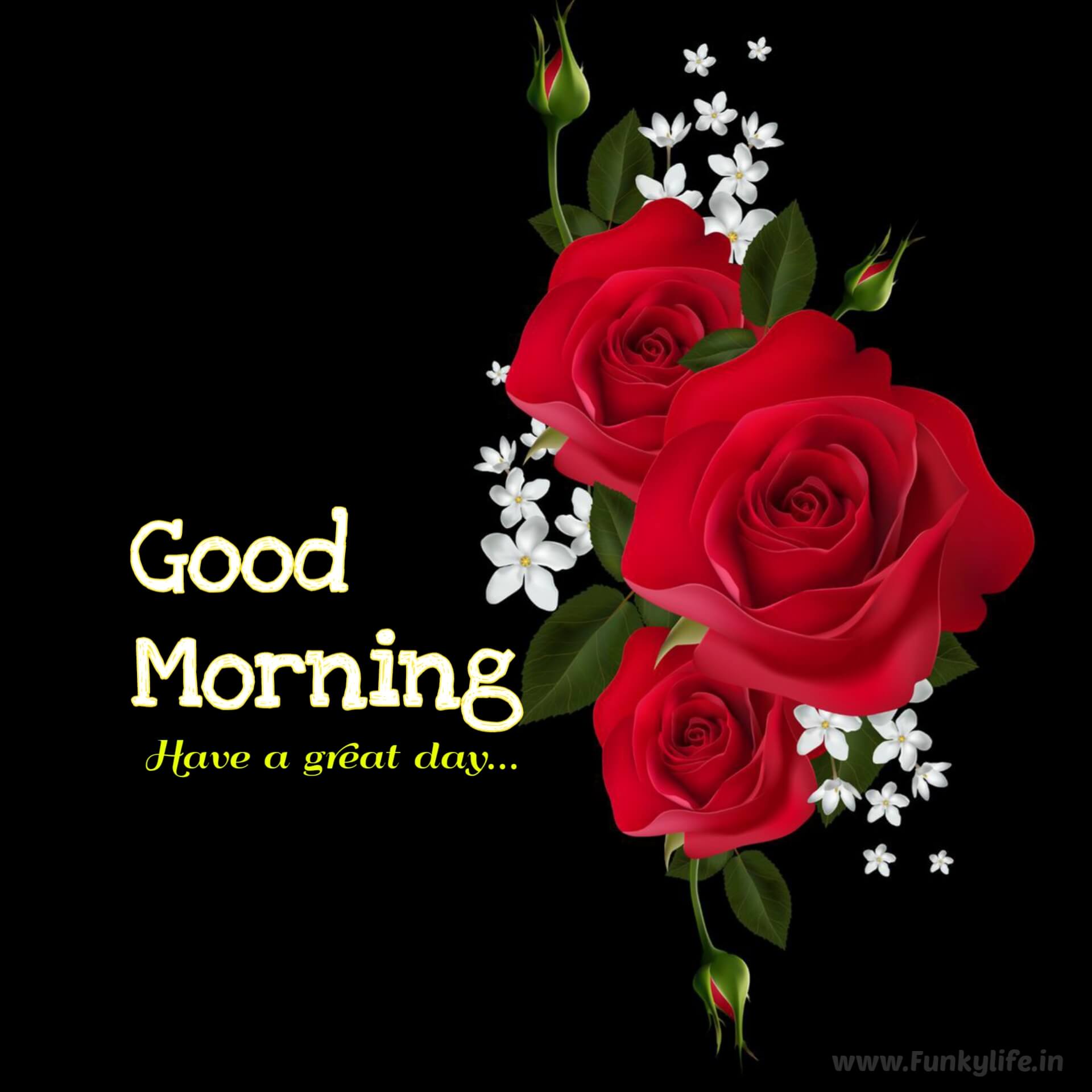 Good Morning Flower Image