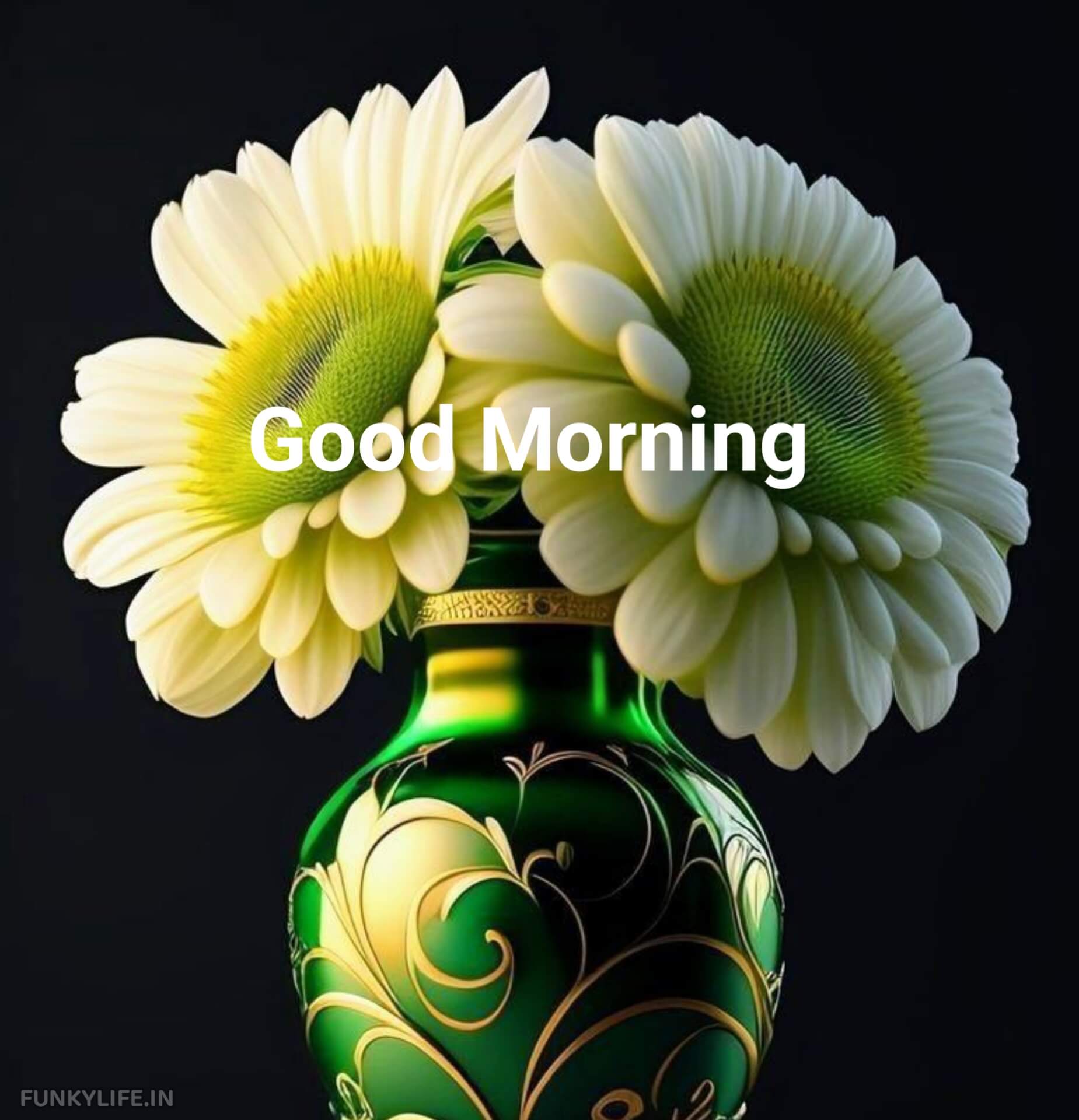 Flower Good Morning Image