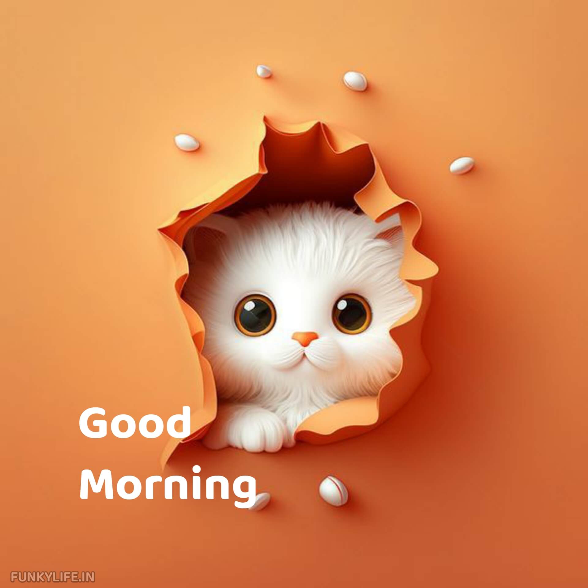 Cute Good Morning Image