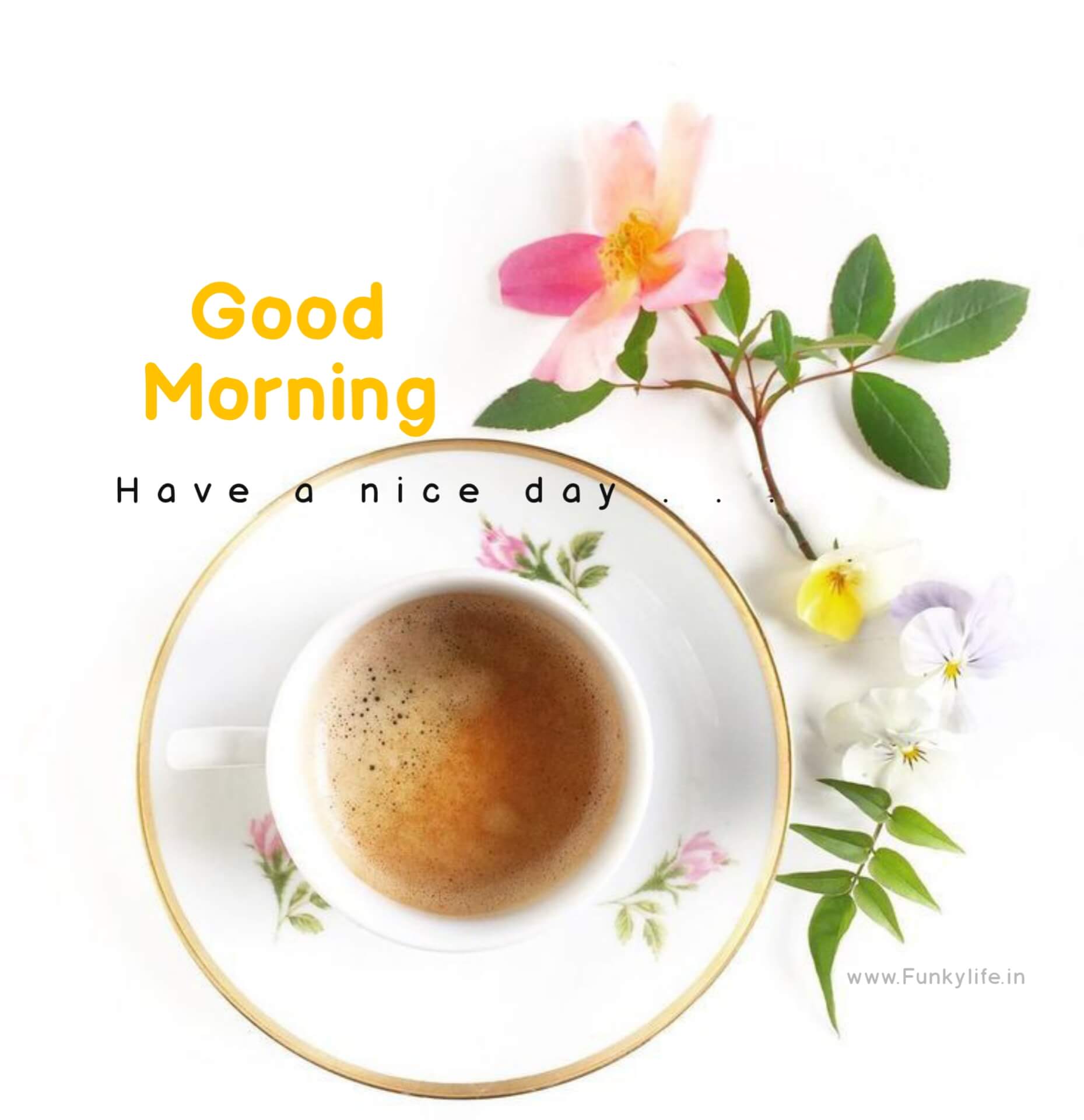 New Good Morning Image