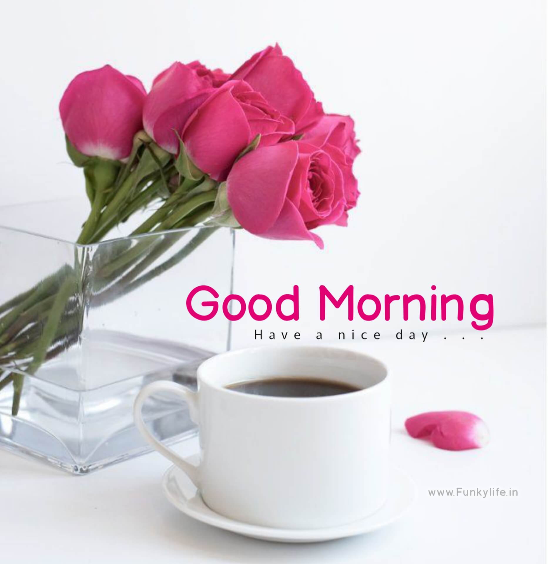 Good Morning Text Background Images, HD Pictures and Wallpaper For Free  Download | Pngtree