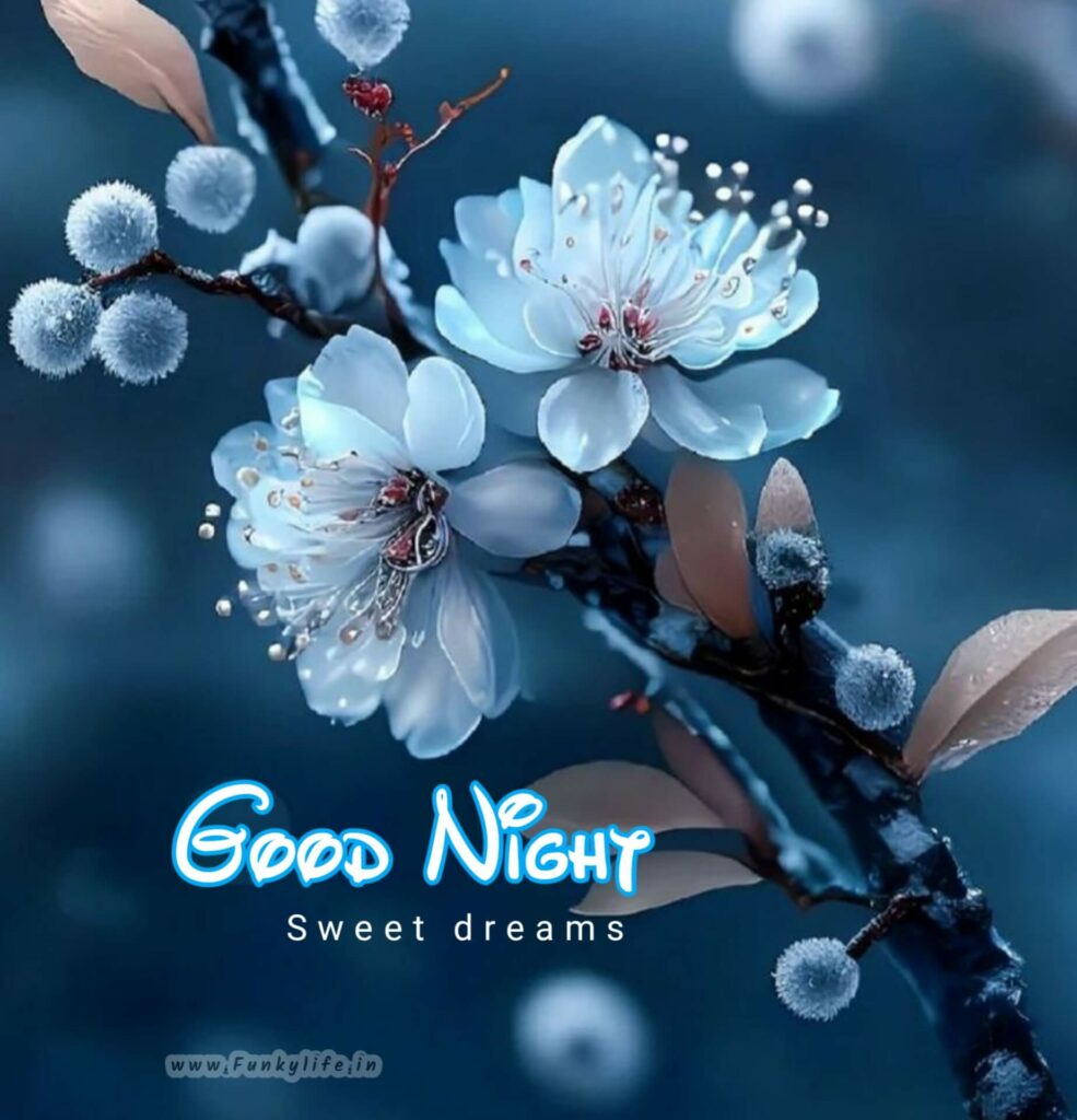 Good Night Shayari Hindi Video Song -WhatsApp| - YouTube