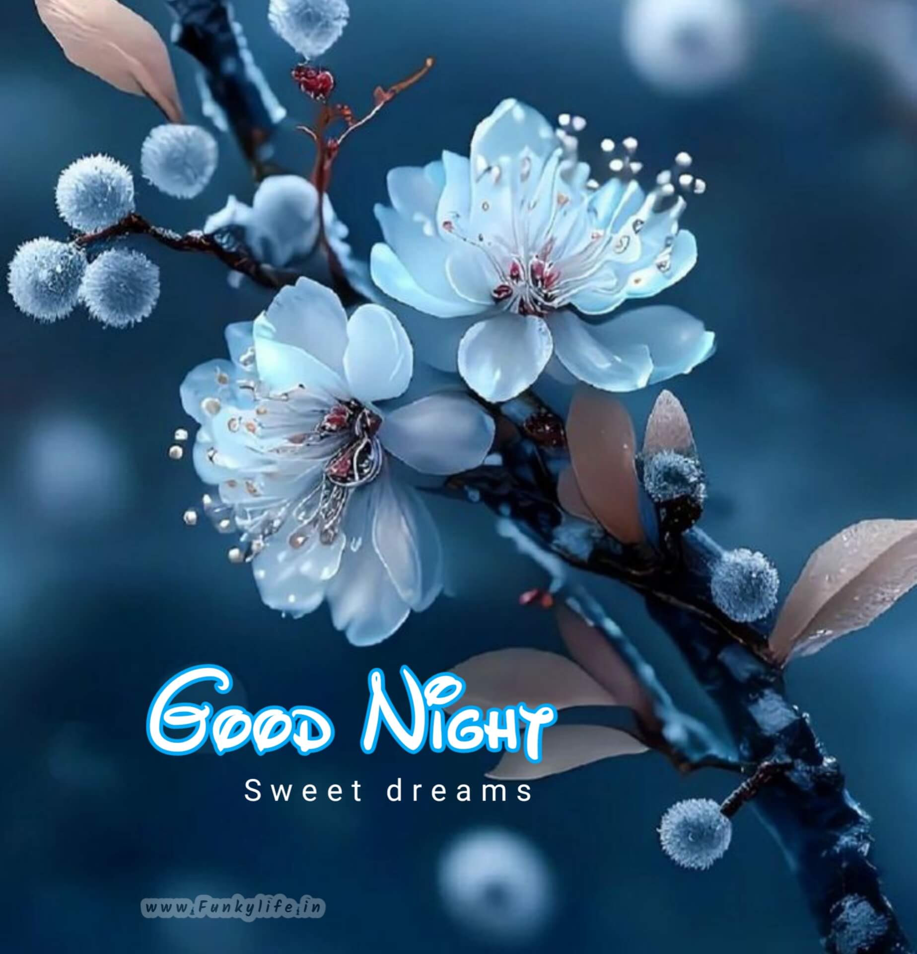 Good Night Wallpapers  Top Free Good Night Backgrounds  WallpaperAccess