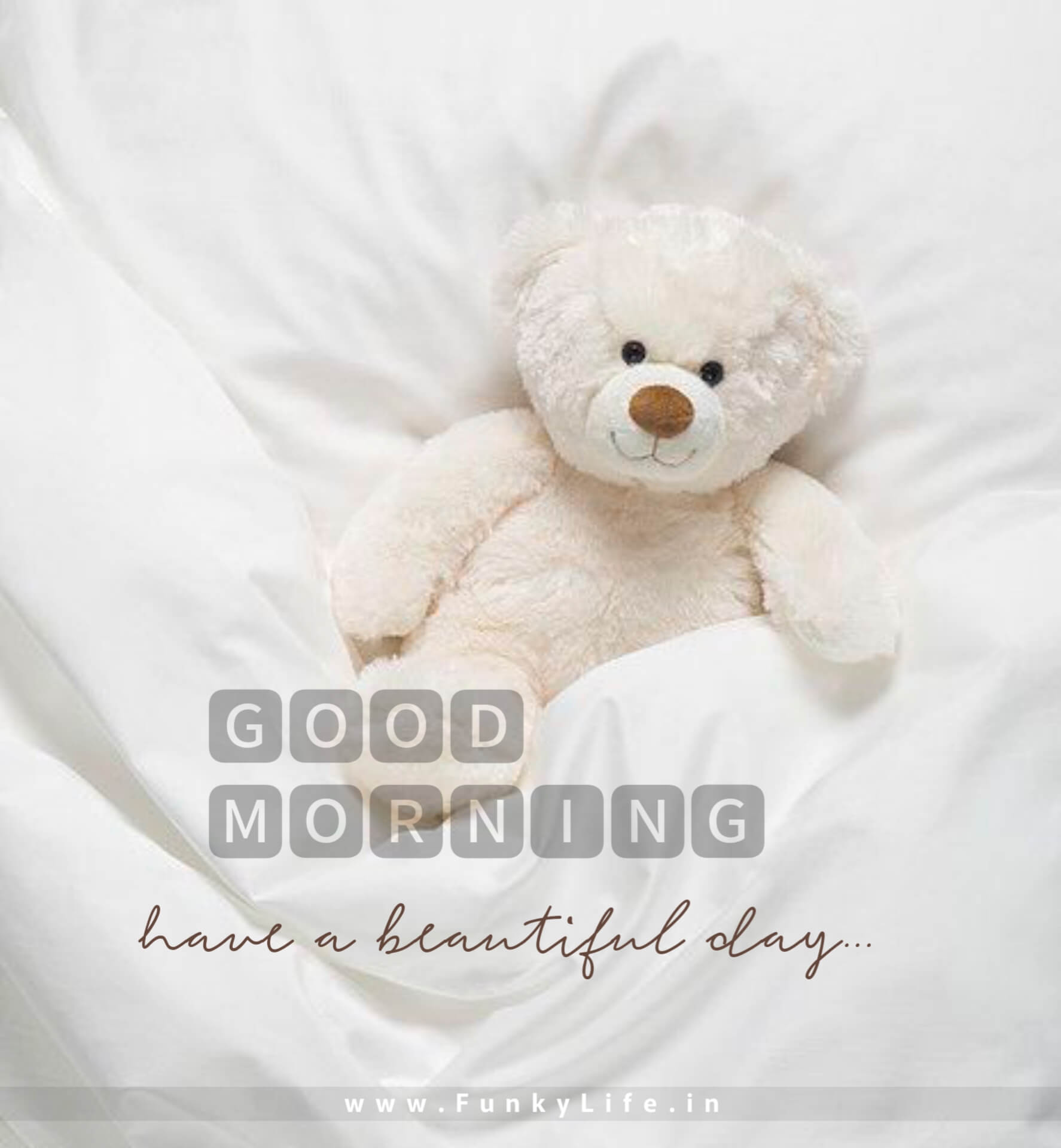 Teddy Bear Good Morning Image