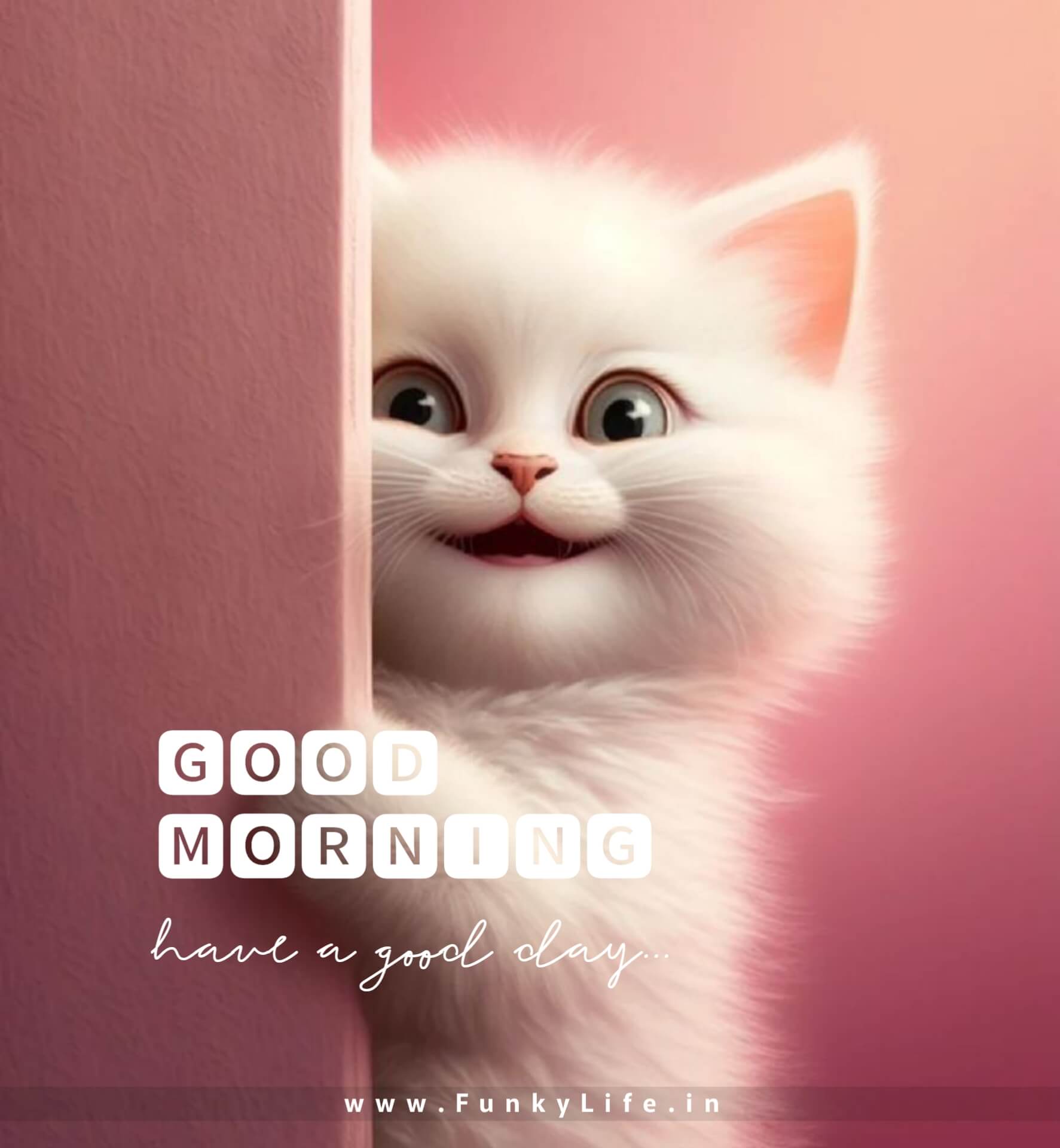 Cute cat Good Morning Image
