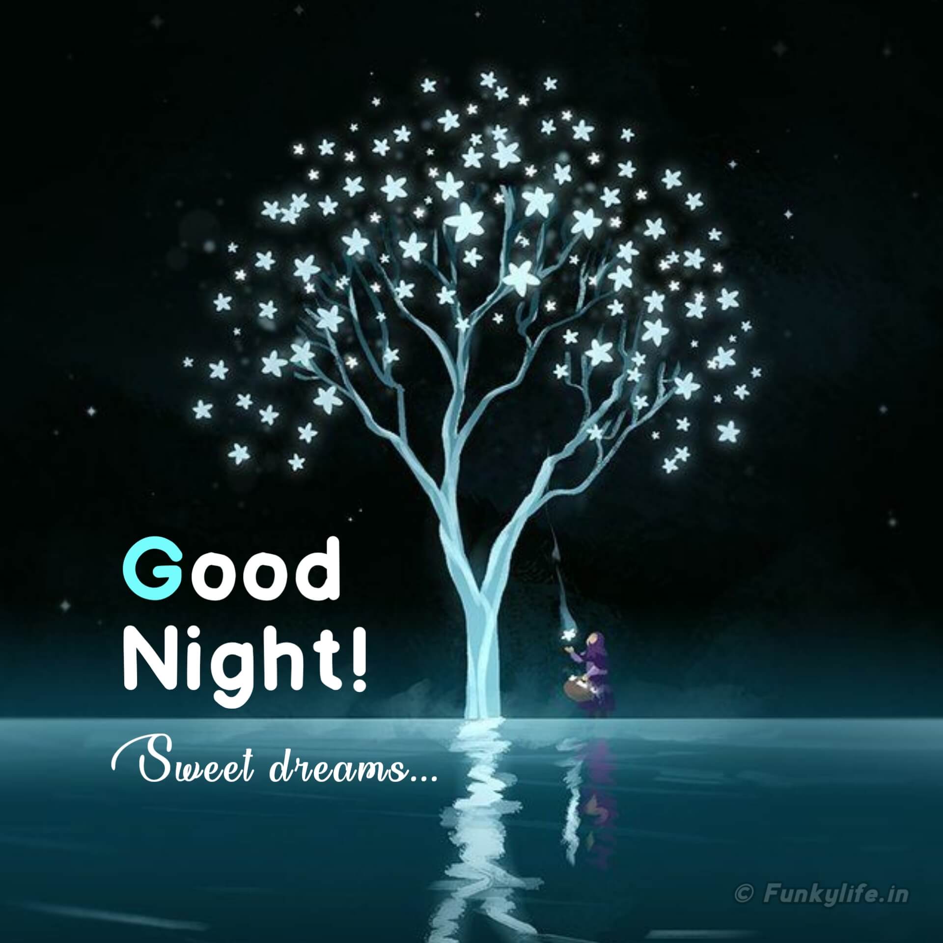 New Good Night Image