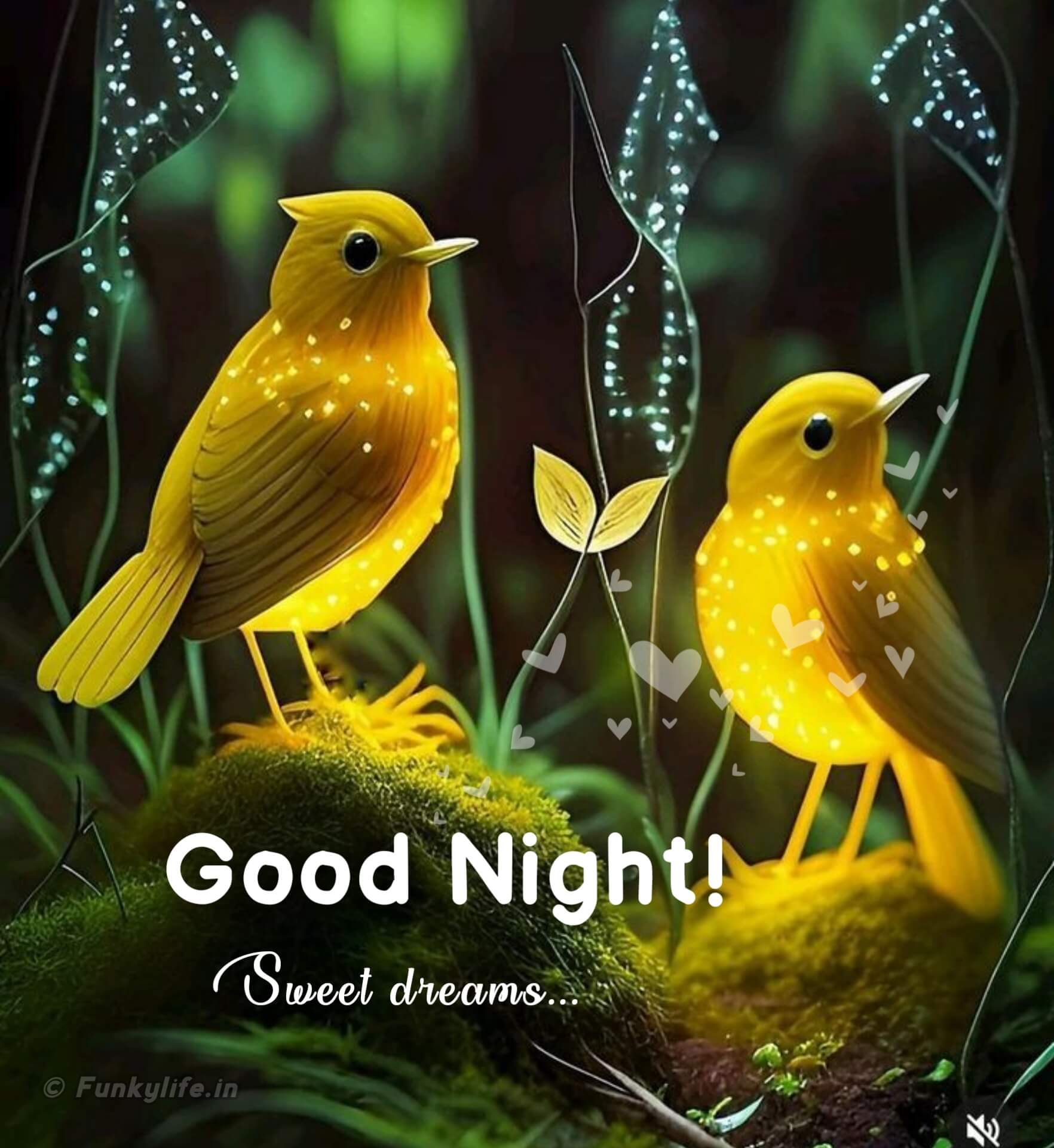 Cute Birds Good Night Image