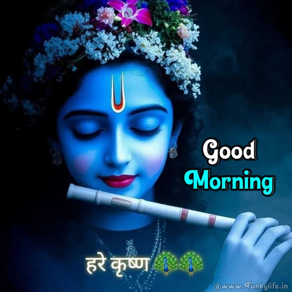 Lord Shri Krishna Good Morning Image
