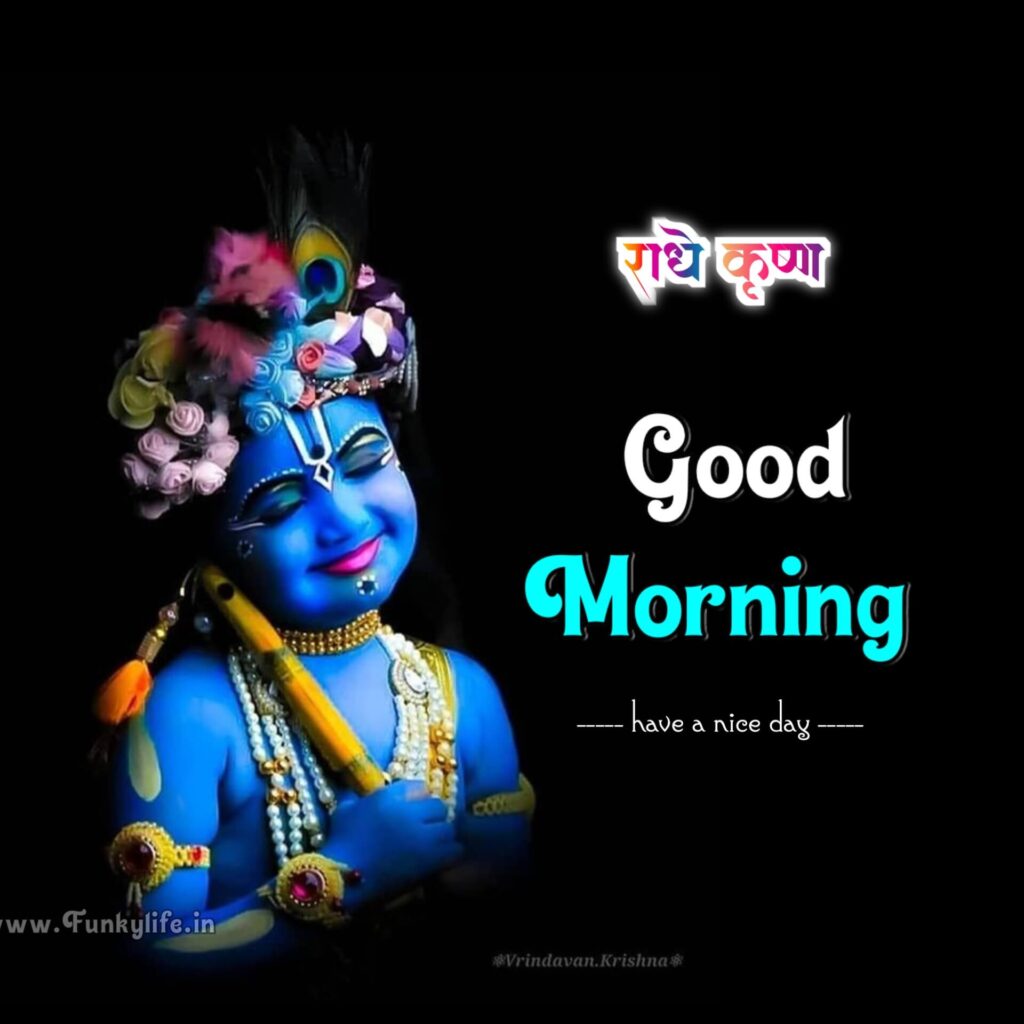 Lord Shri Krishna Good Morning Image