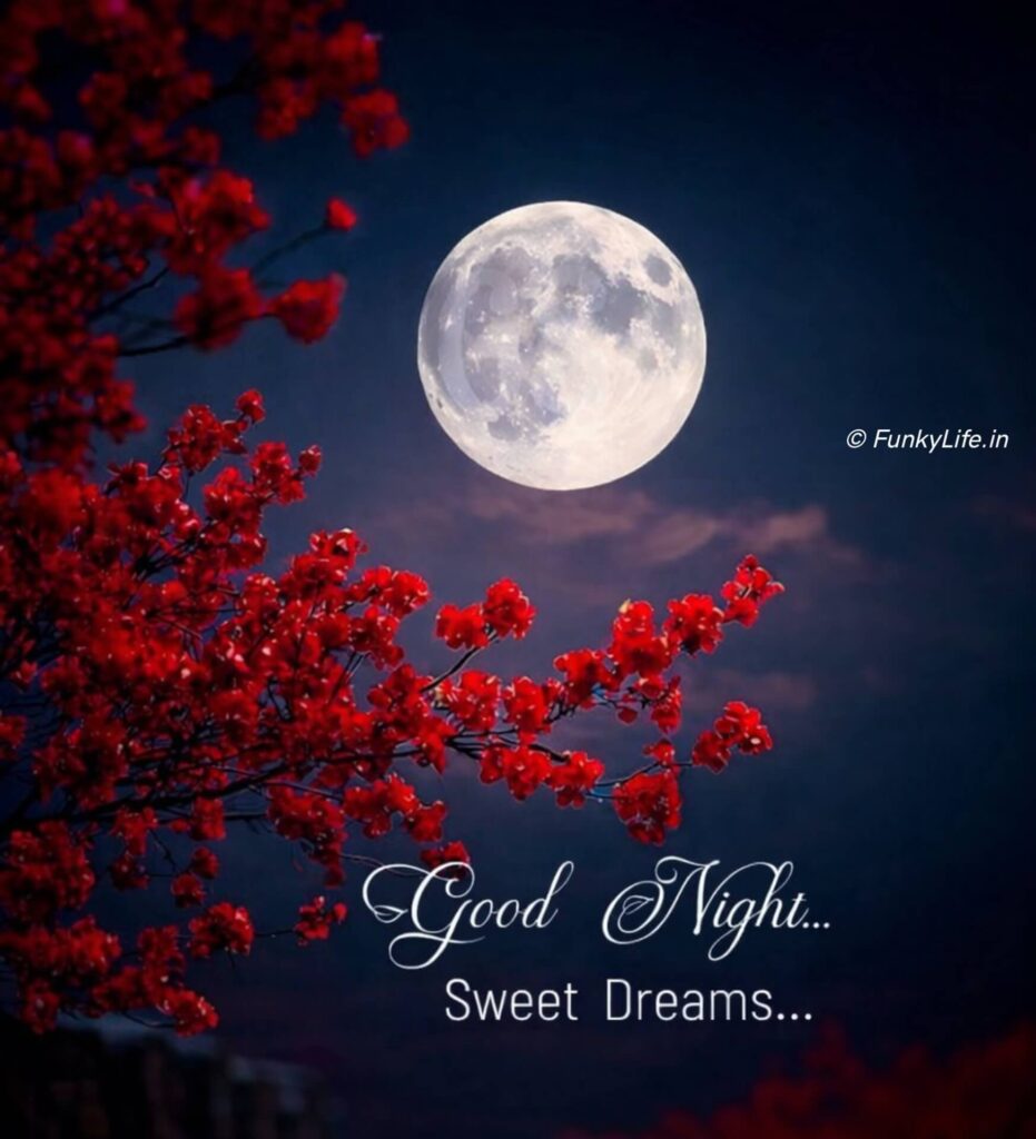 Nature Good Night Image