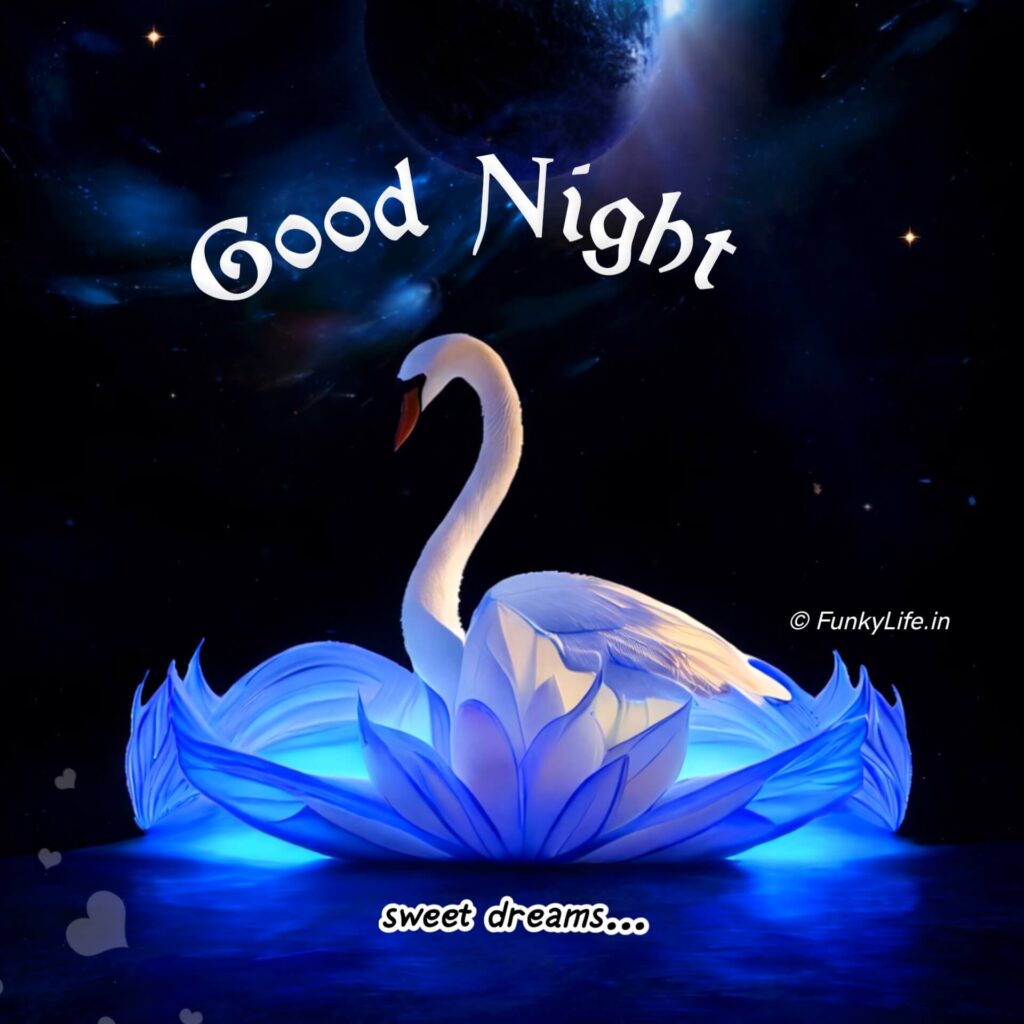 Good Night Image for WhatsApp