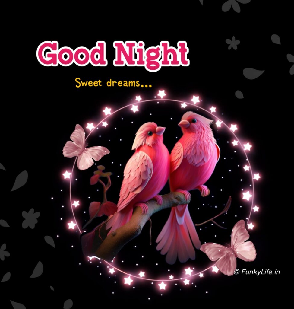 WhatsApp Good Night Image